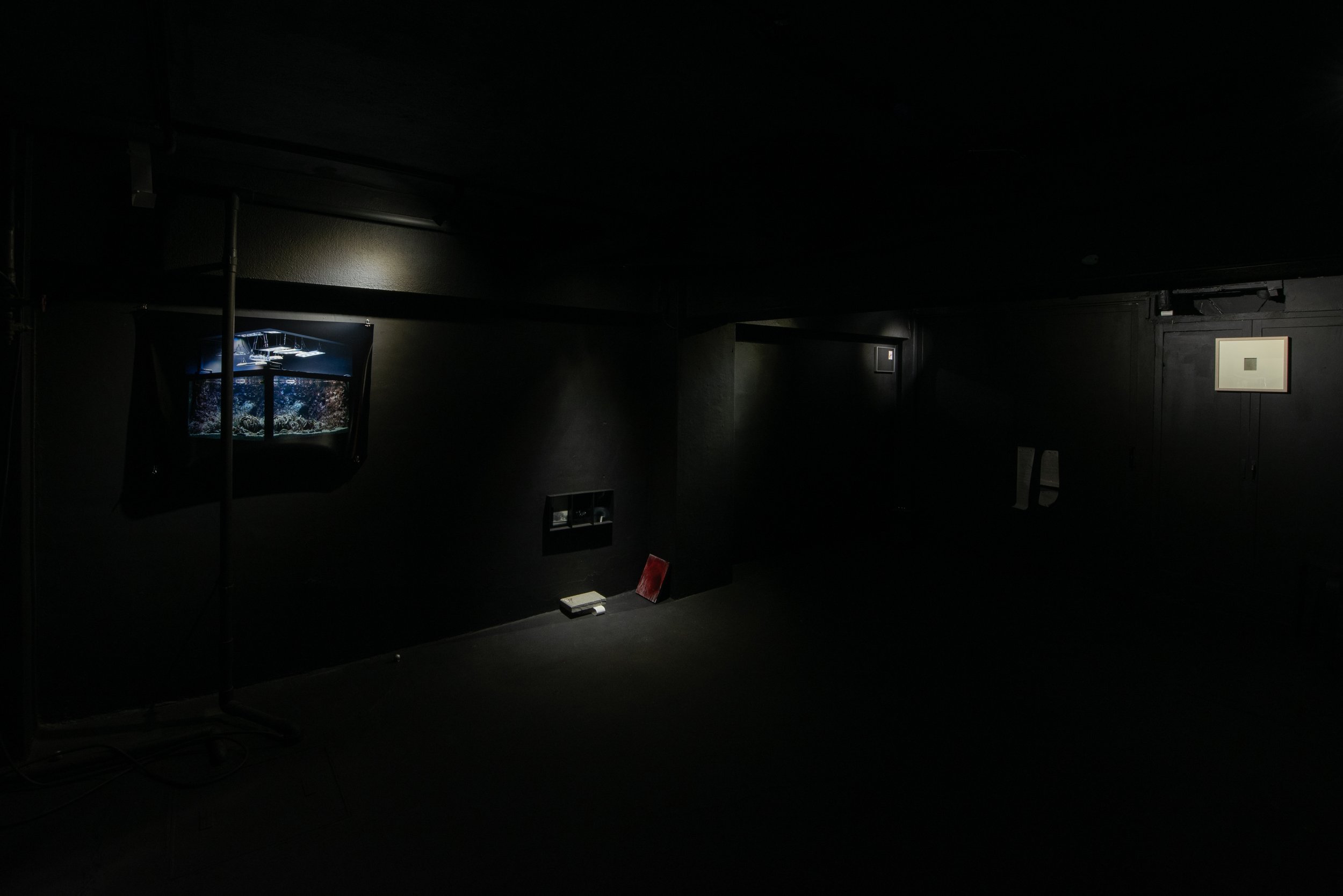 DSC_8170_1.jpg