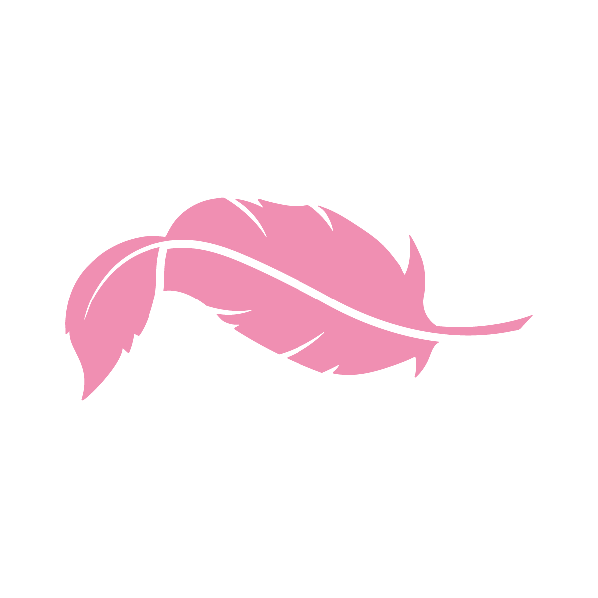 Une plume rose isolée sur fond blanc.