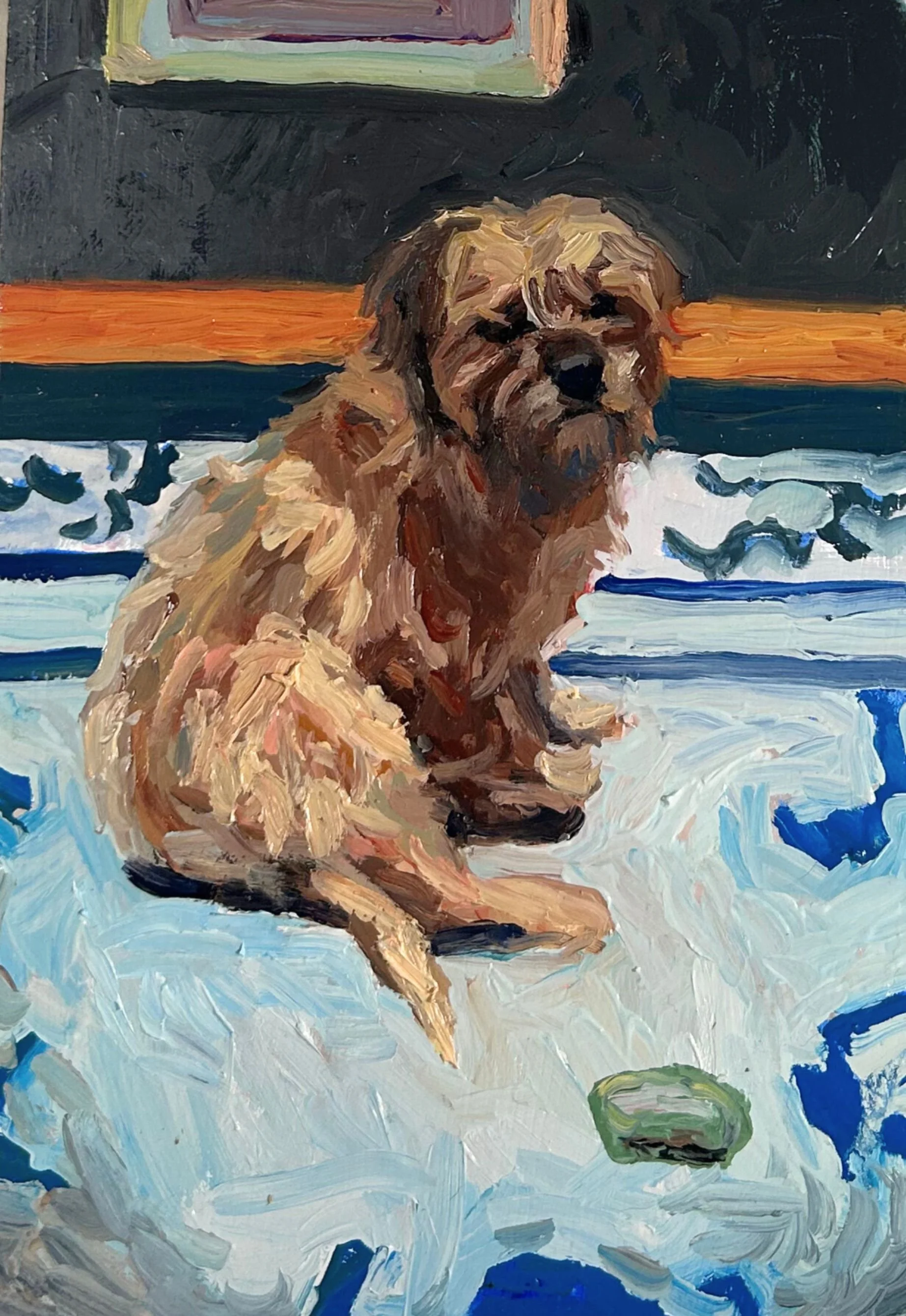 border terrier portrait.jpg