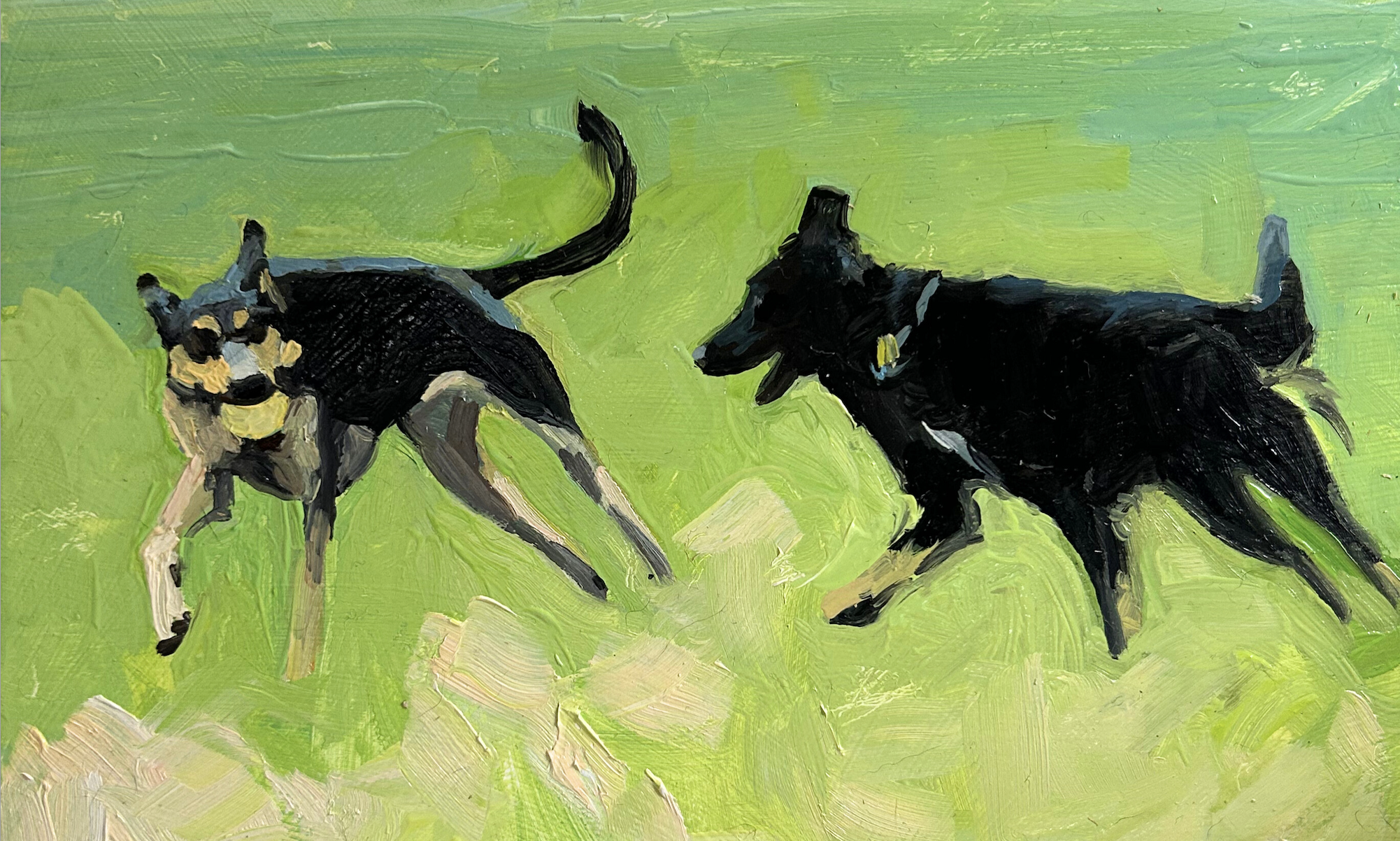 Screenshot 2026-02-14 at 9.18.29 AM.png