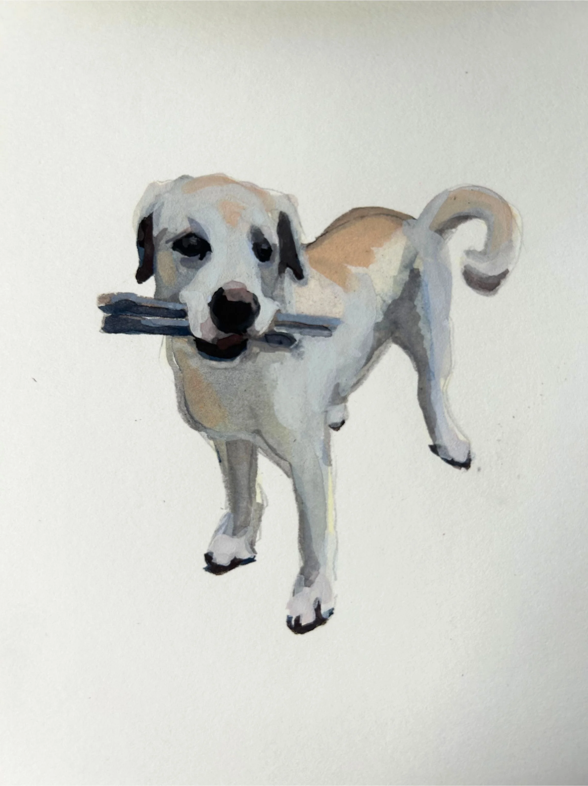 gouache lab.jpg