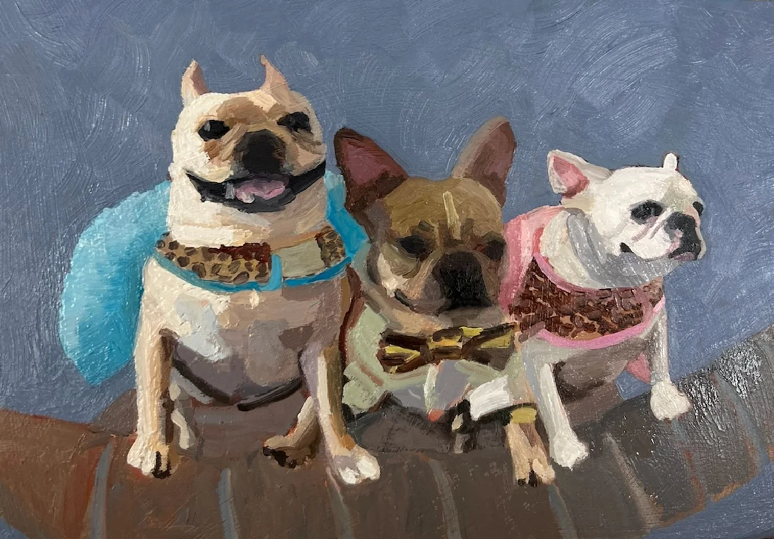 french bulldog portrait.jpg