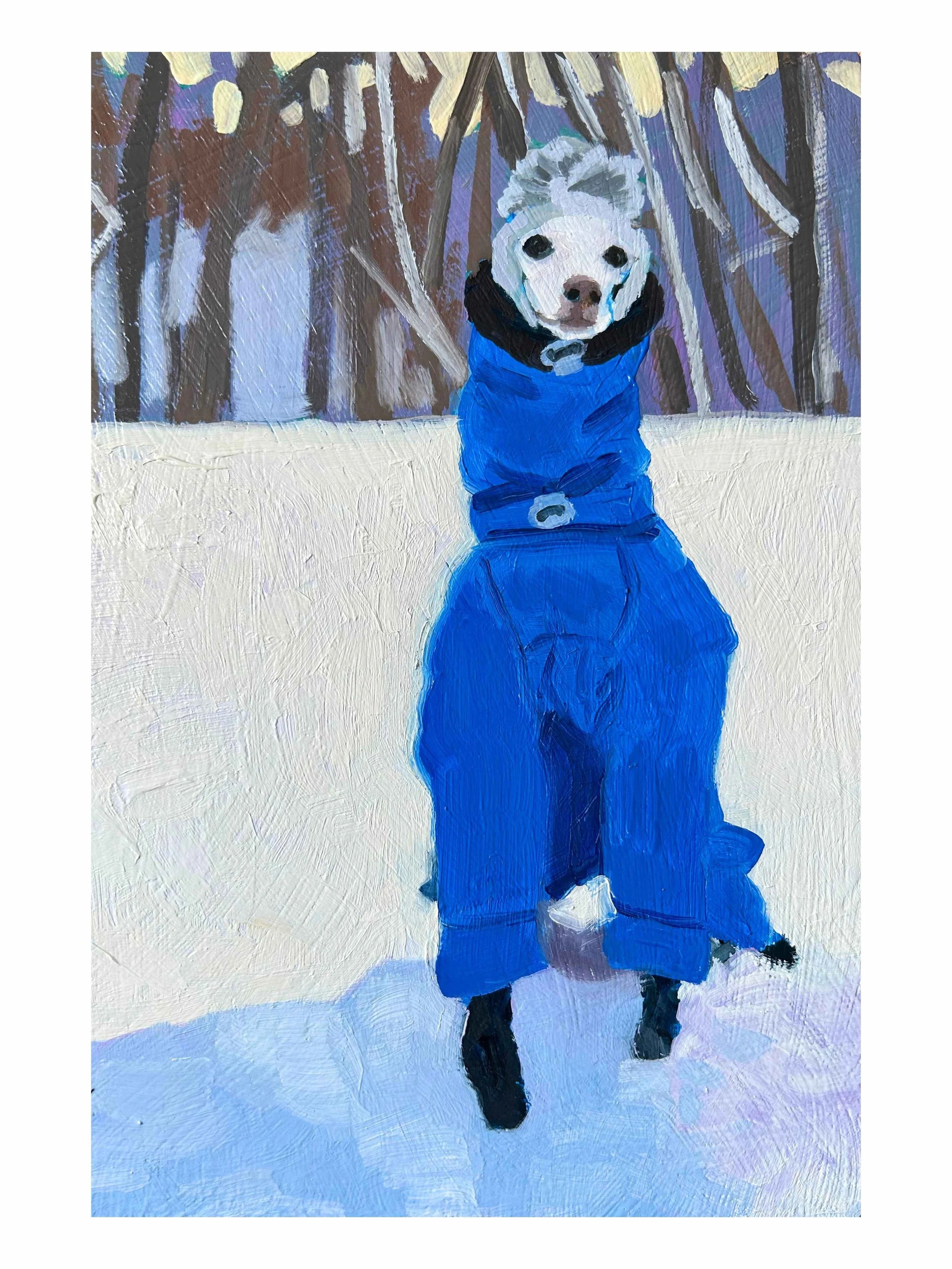 Tommy in His Other Snowsuit.jpg