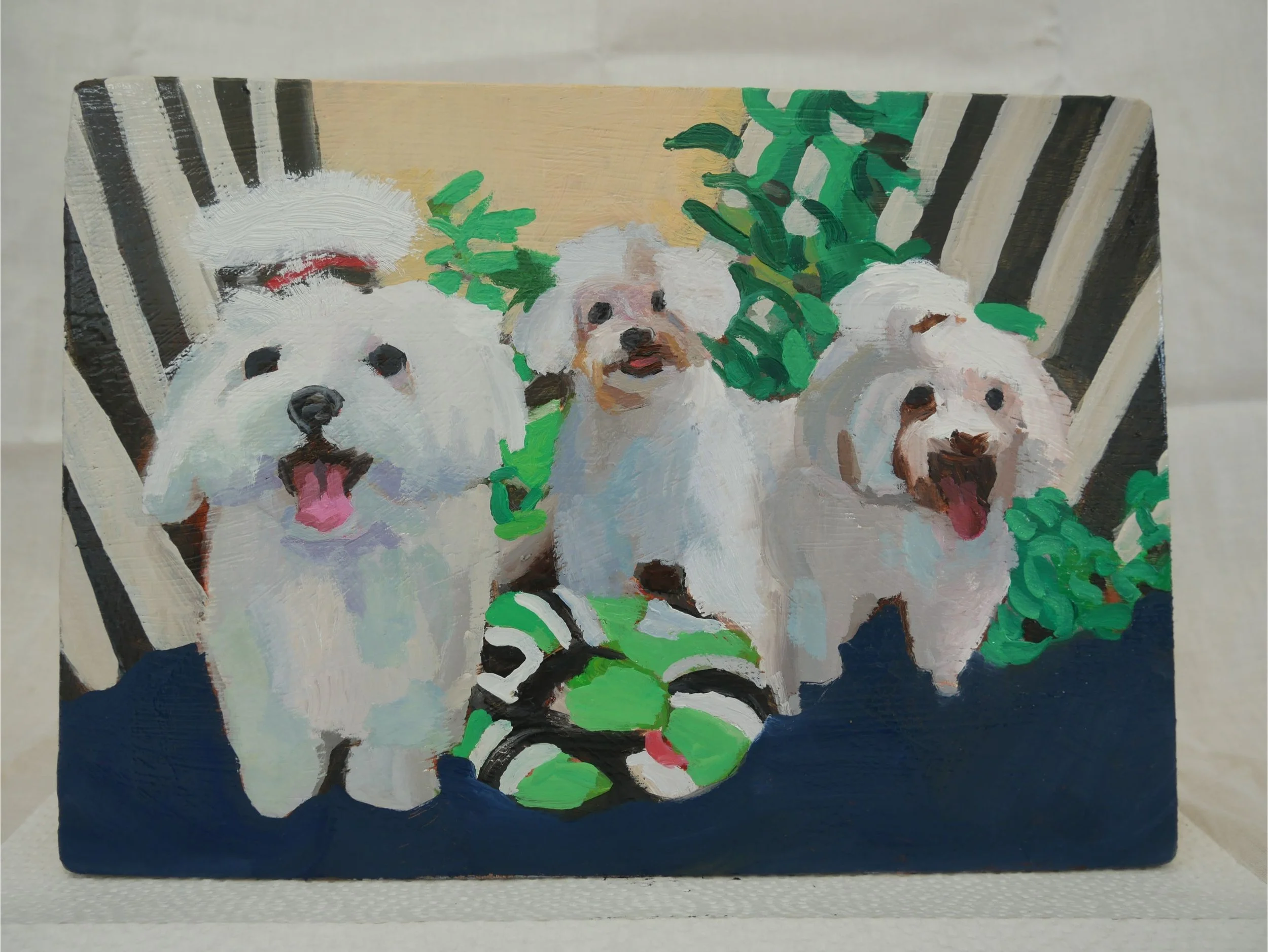 maltese portrait.jpg