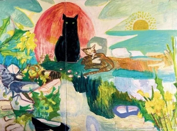 1 website cats shoes .jpg