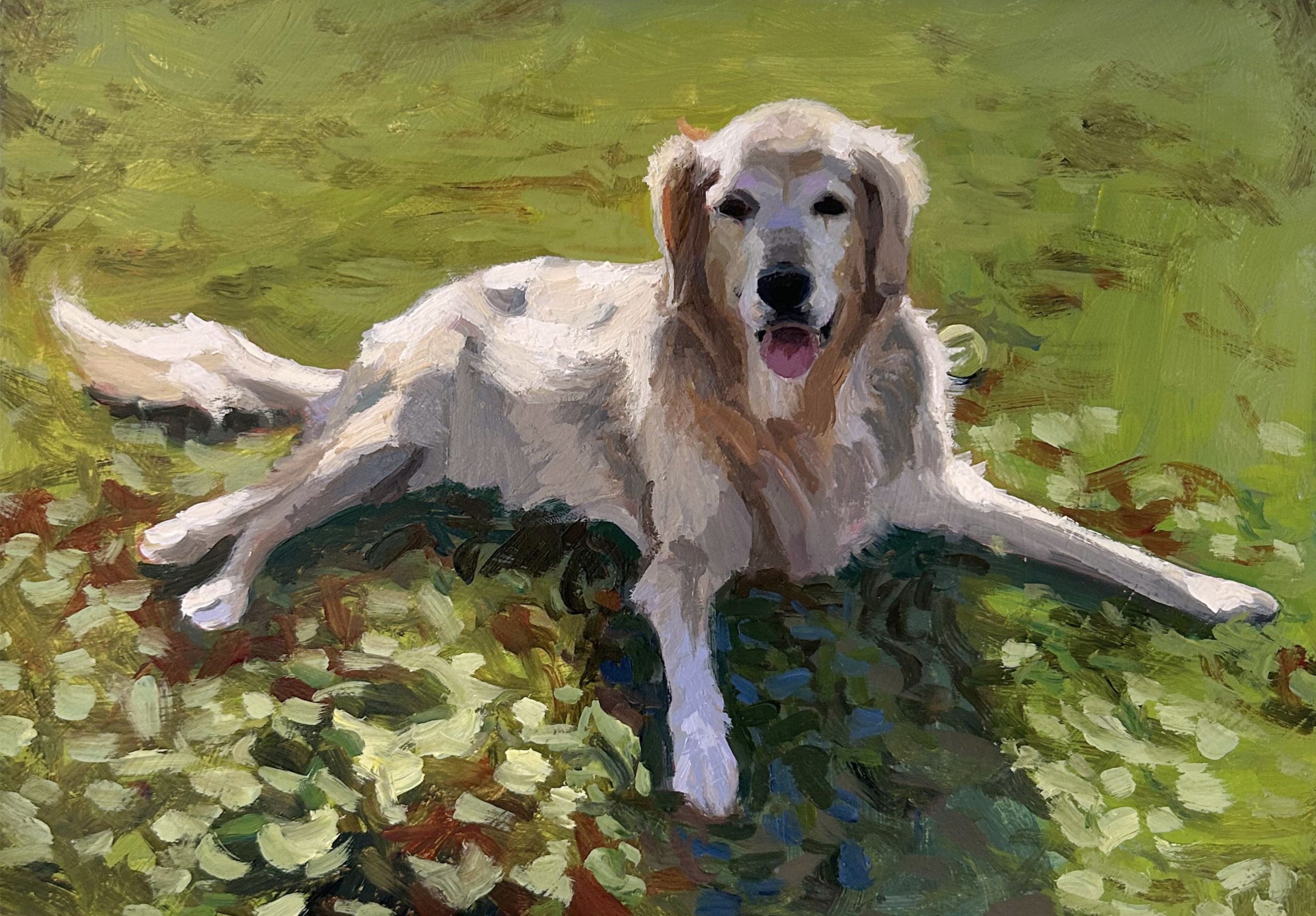 golden retriever portrait.jpg