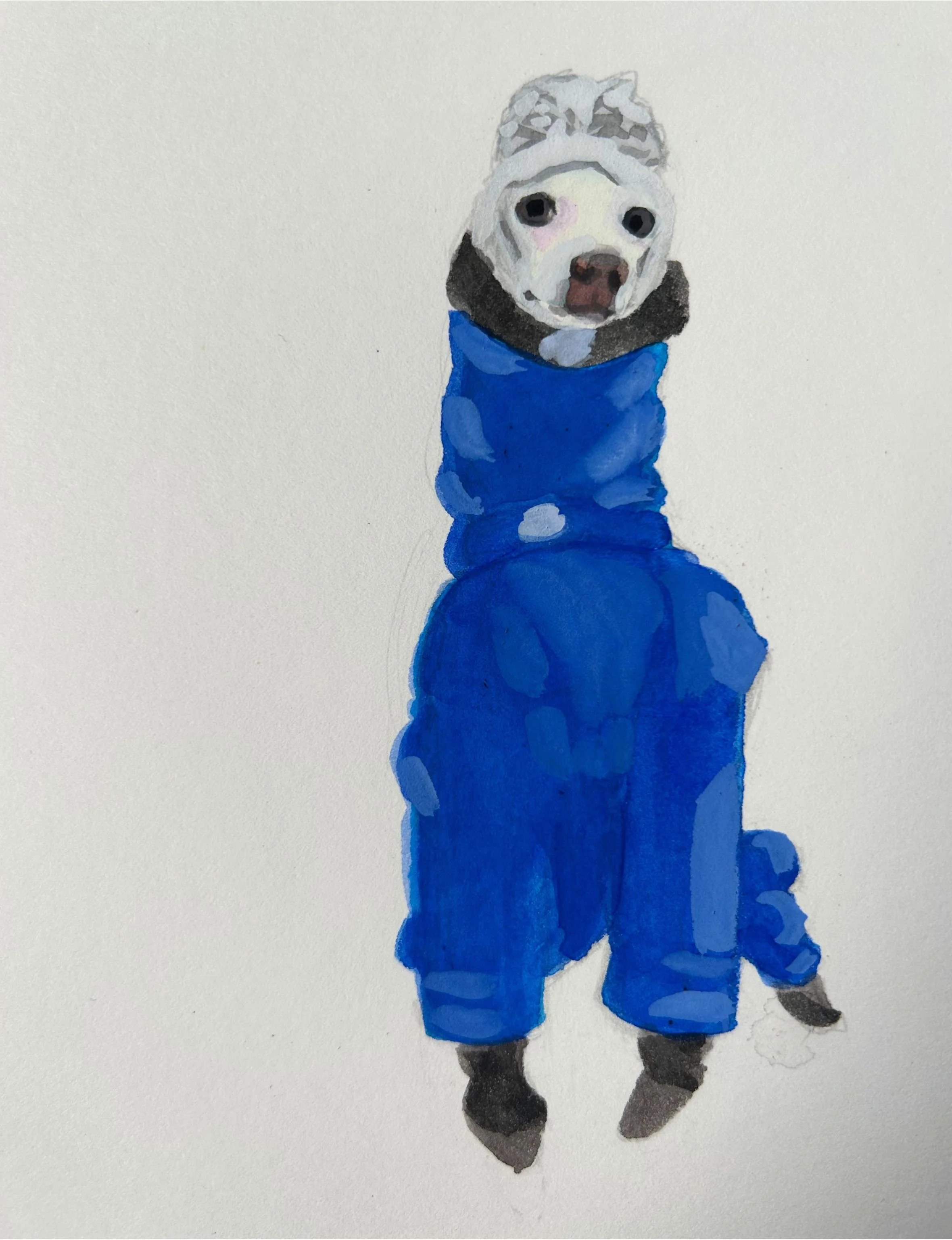 gouche tommy in other snowsuit.jpg