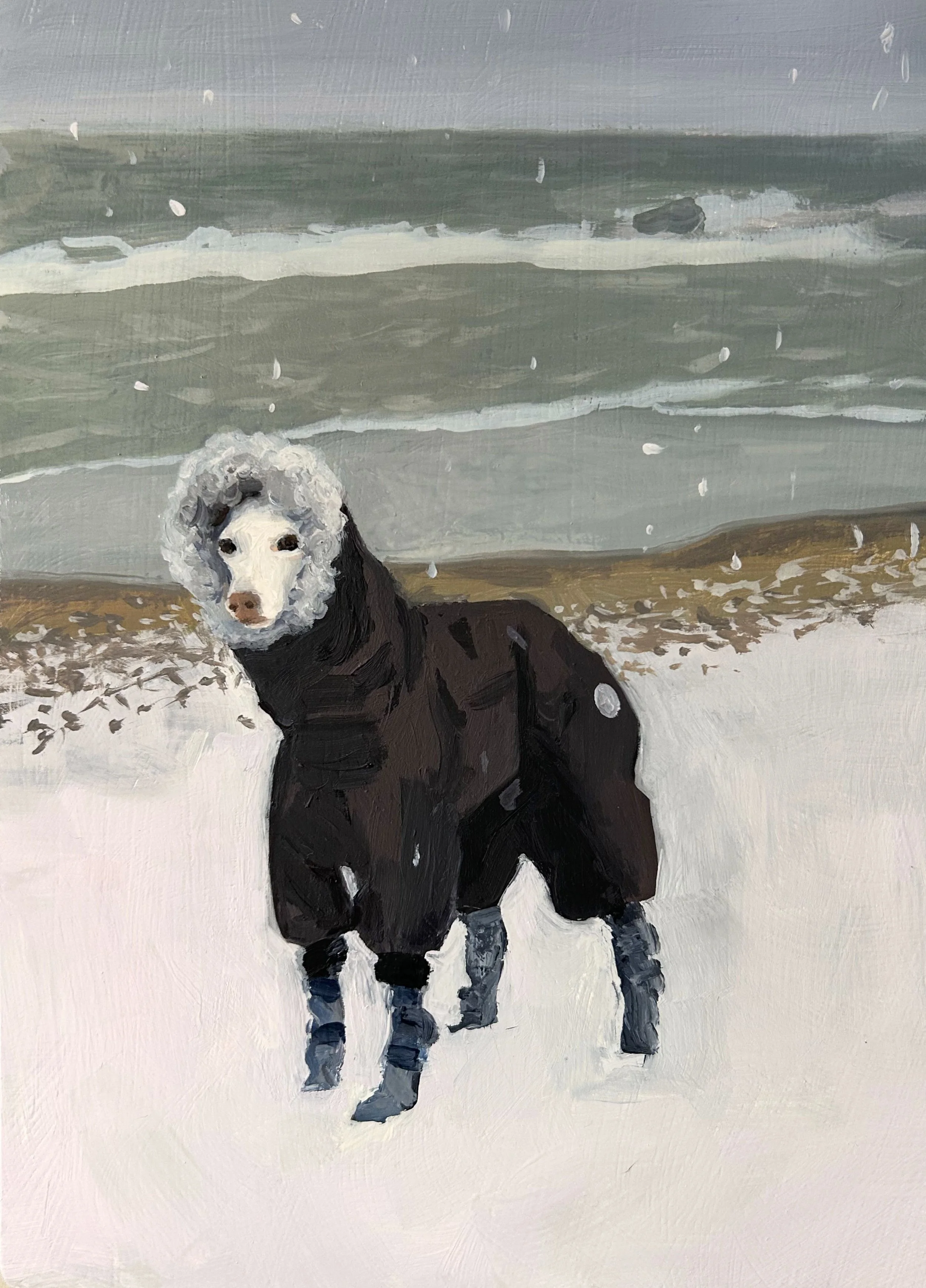 Tommy at the Beach, Winter, oil on wood panel, 2026, 