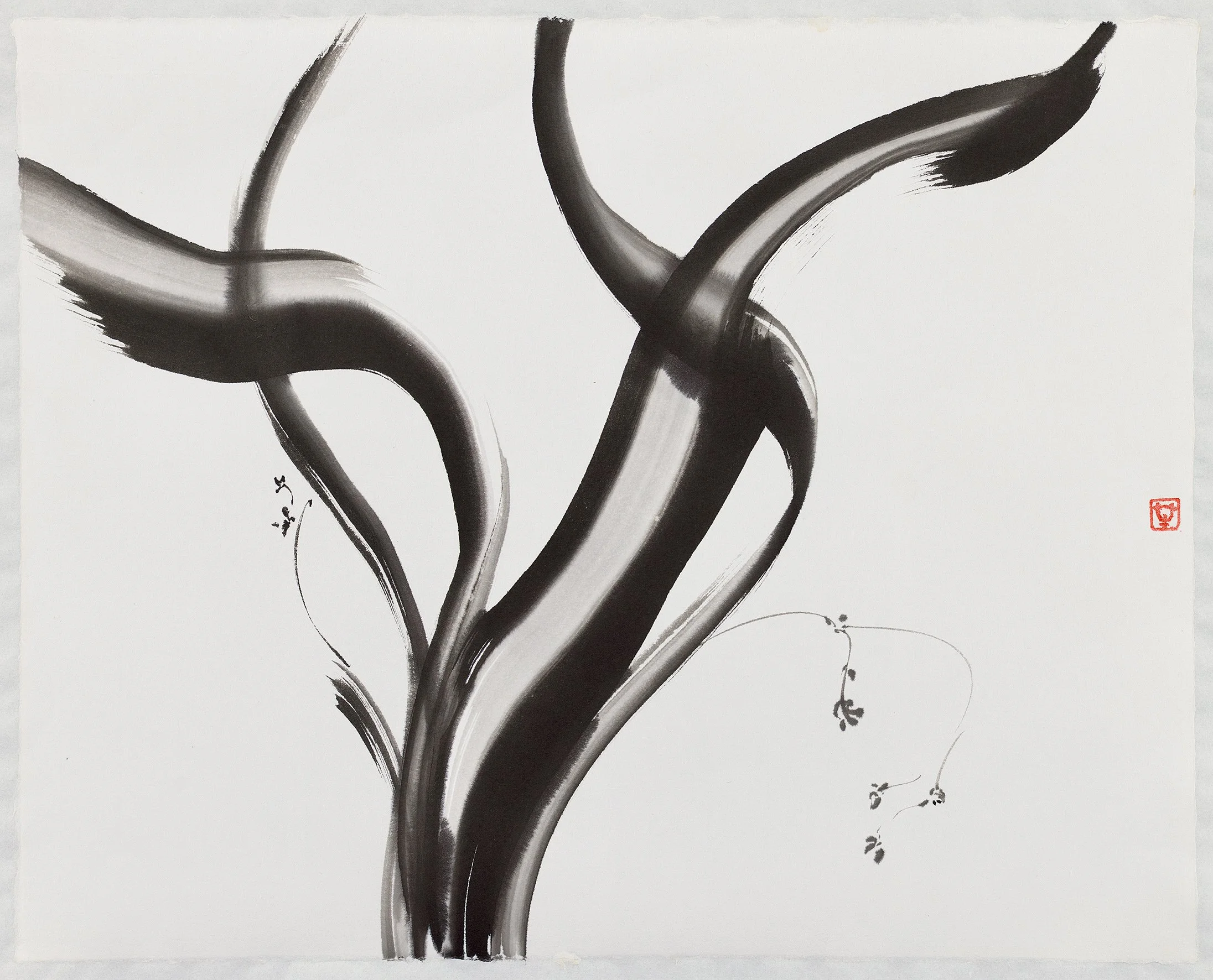 Wisp