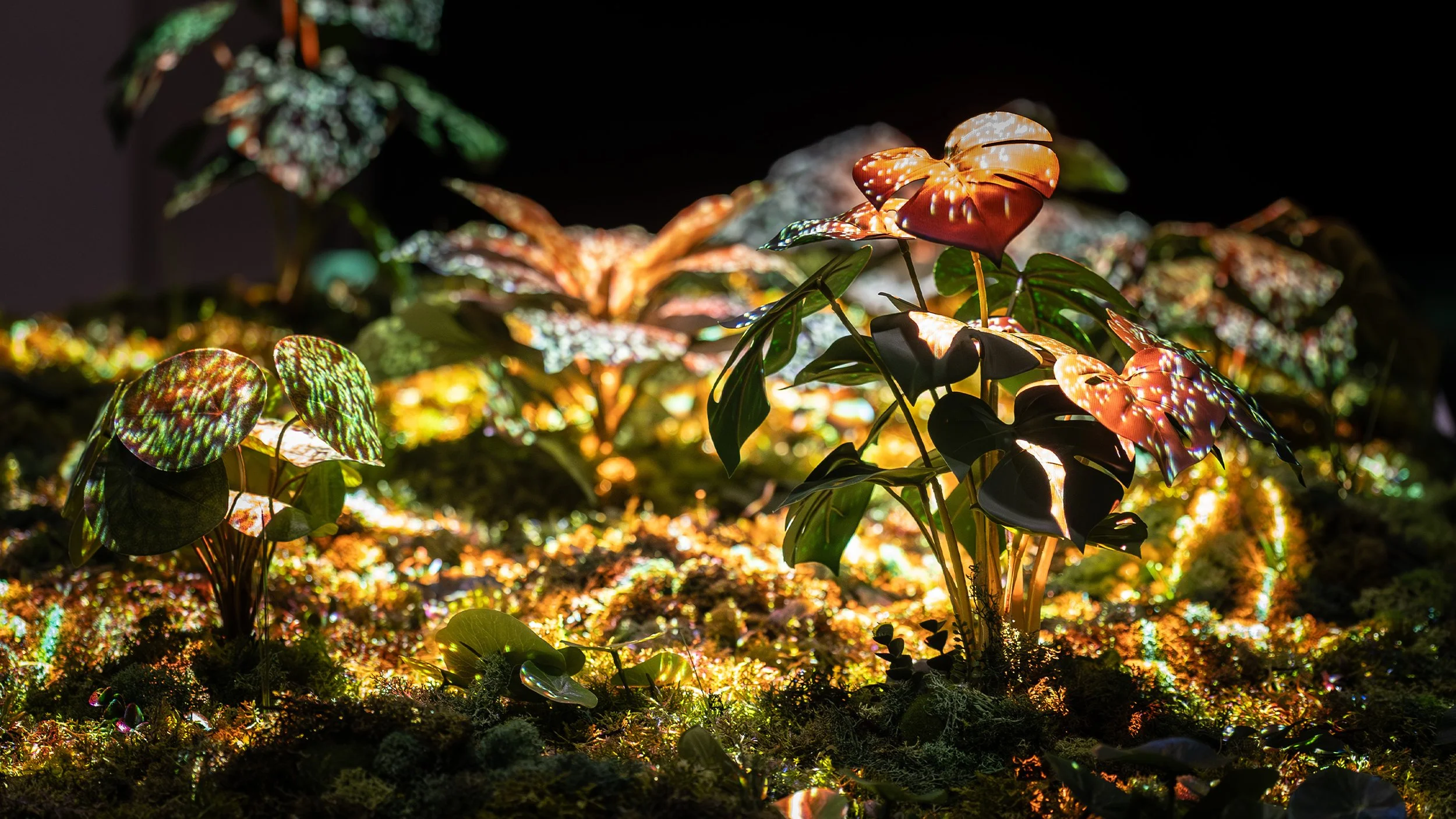 Interactive Art Installation