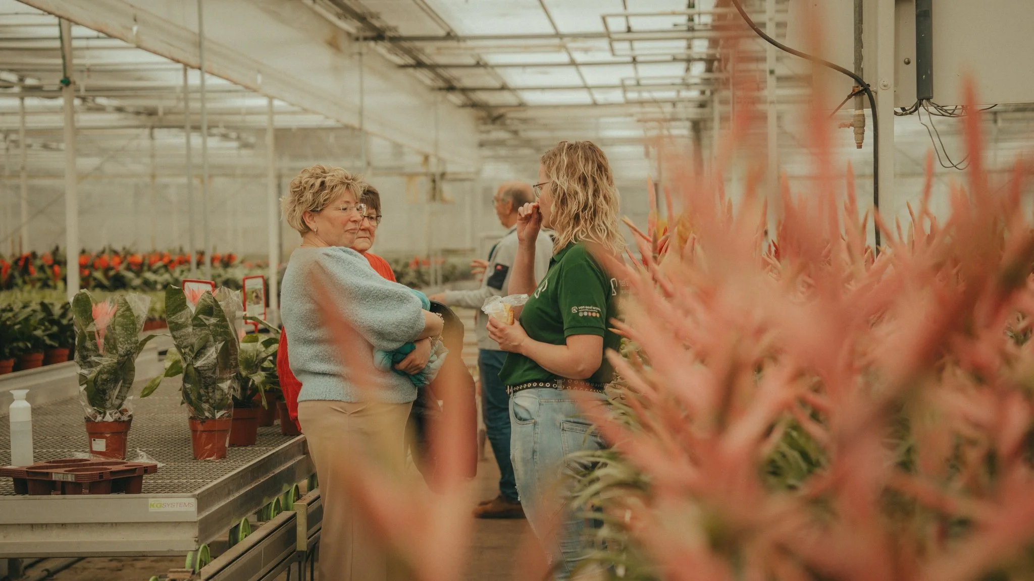People shopping and talking in a greenhouse or plant nursery aisle surrounded by potted plants and flowers.