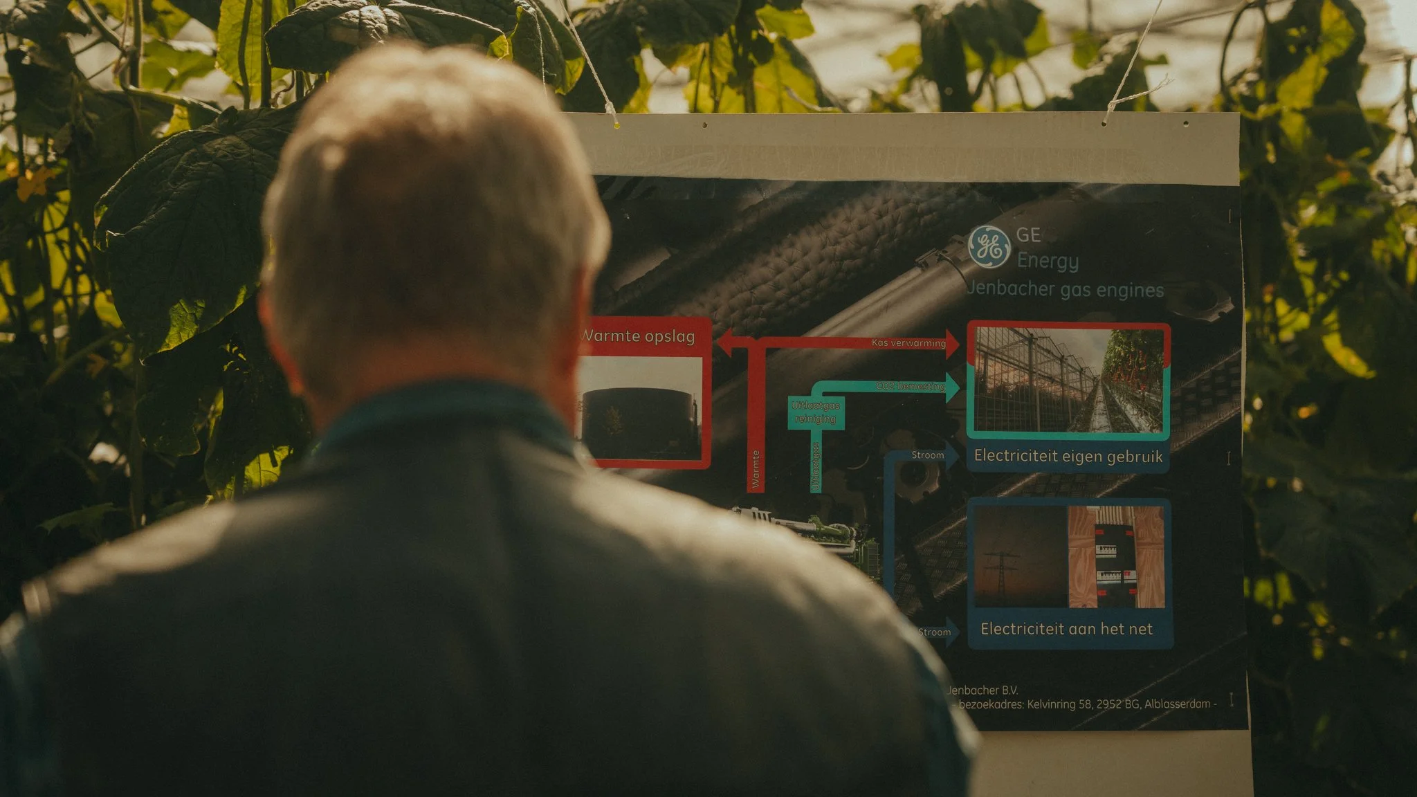 A person is looking at an informational poster about energy and gas engines, with trees visible behind the poster.