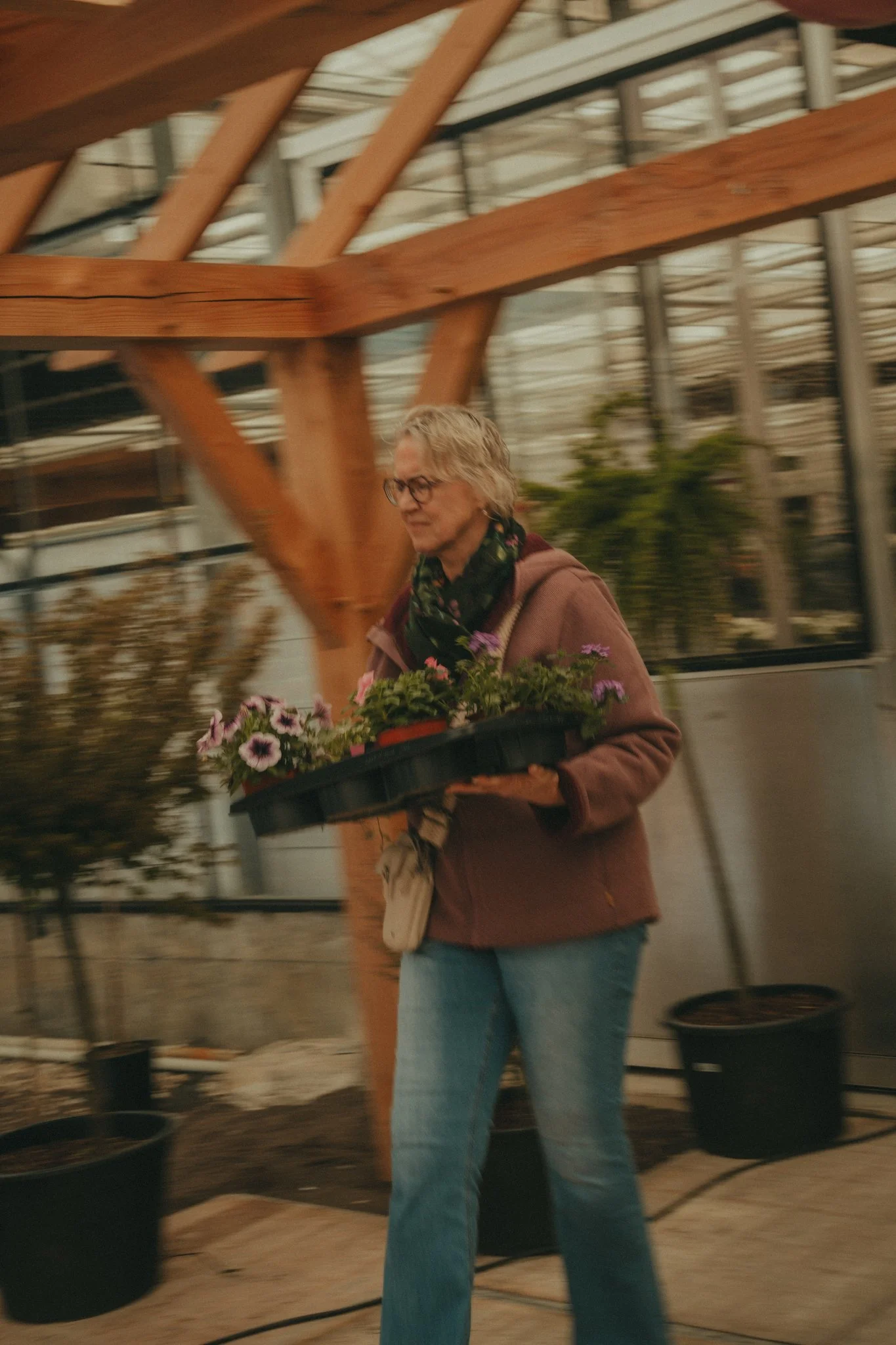 A woman with blonde hair, glasses, wearing a brown jacket and blue jeans, holding a tray of purple and pink flowers inside a greenhouse with wooden beams and potted plants.