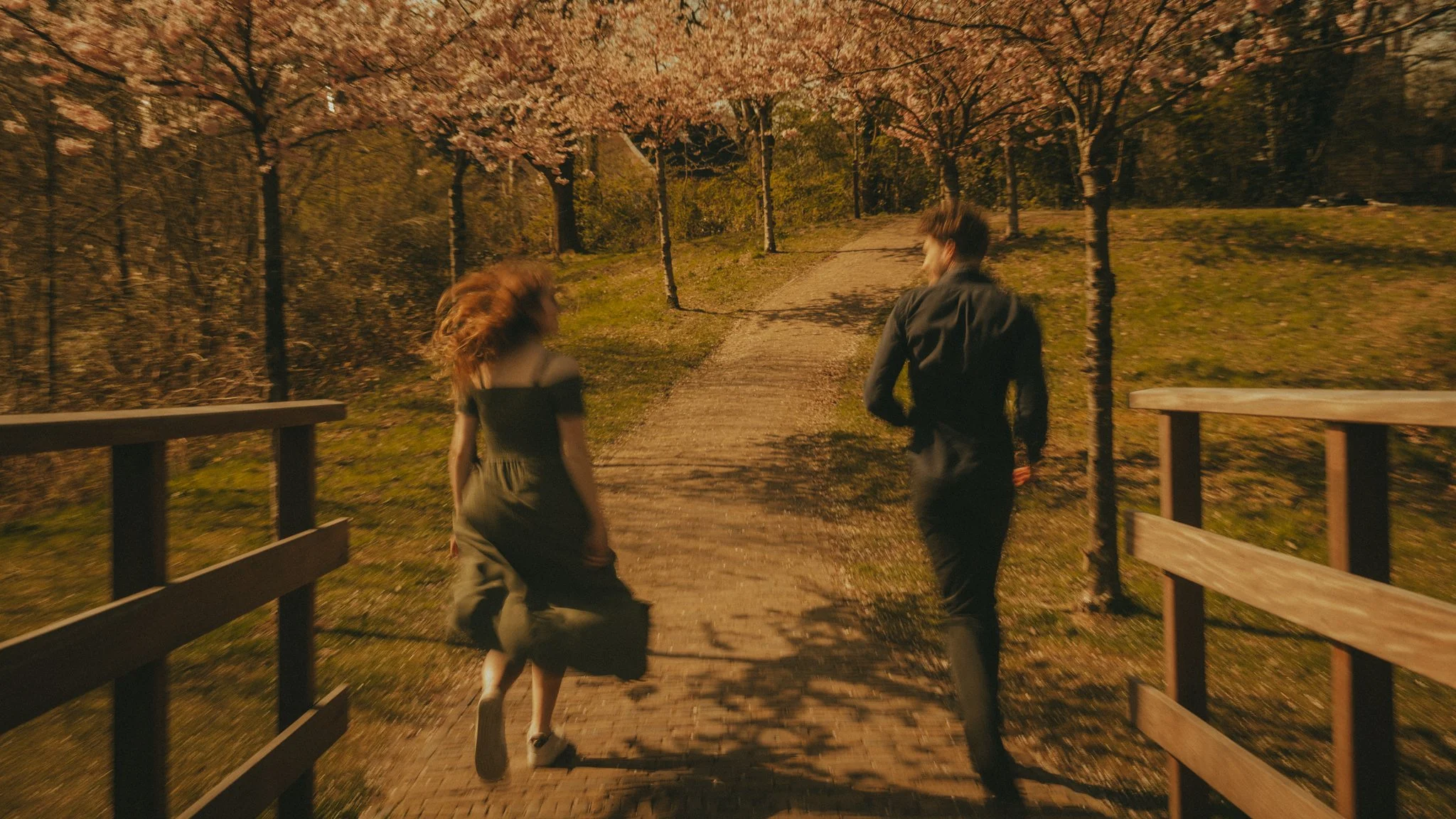 A man and woman walking on a brick pathway surrounded by trees with pink blossoms in a park during daytime.