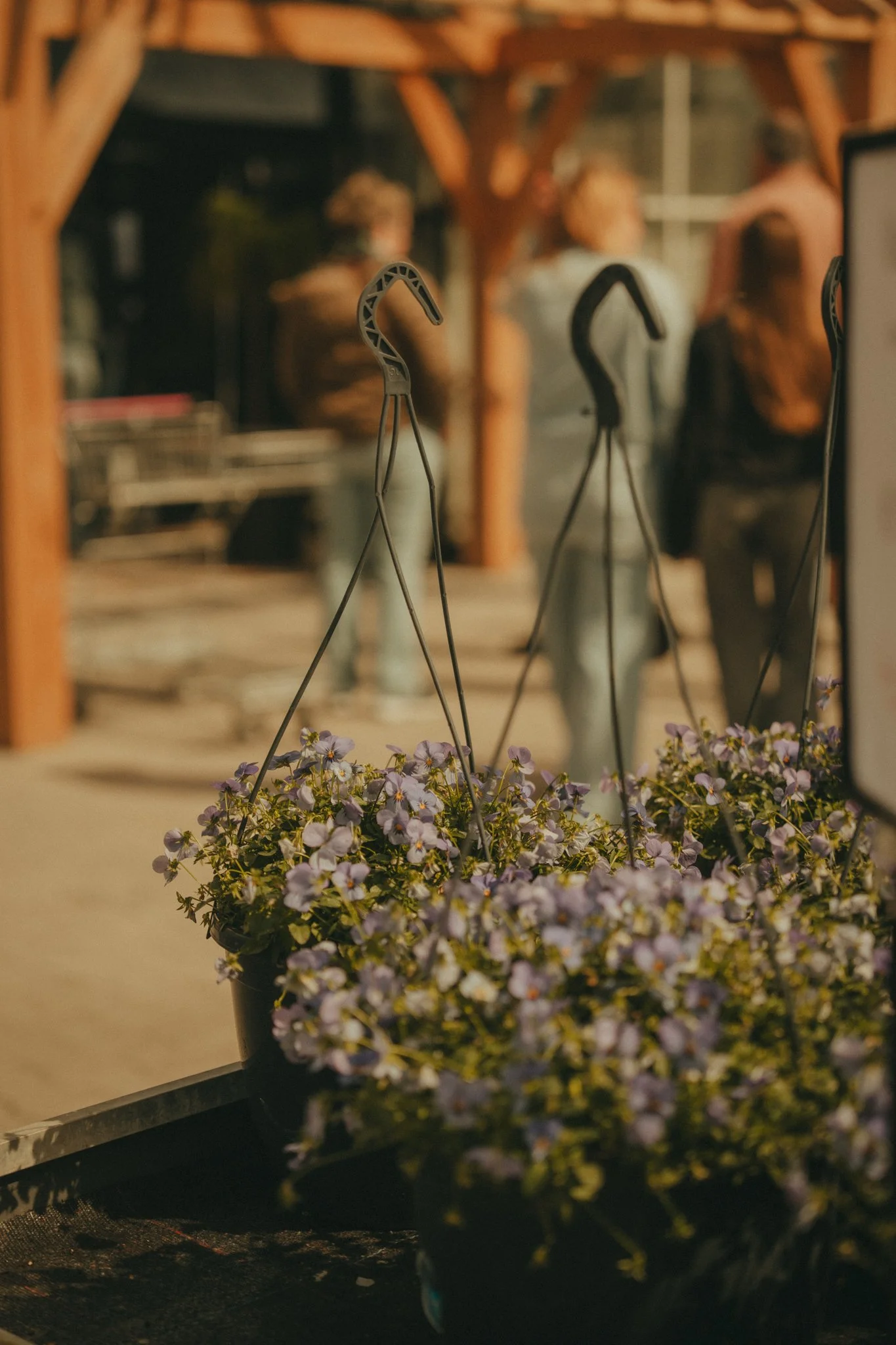 A hanging flower basket filled with purple and white flowers in front of a blurred outdoor setting with people and trees.