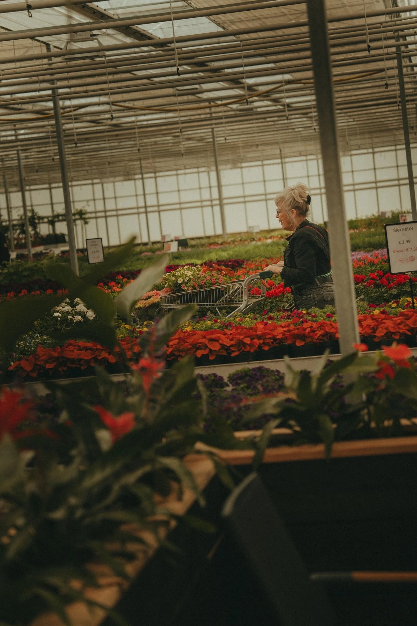 A woman with short gray hair wearing glasses shopping for flowers in a greenhouse, surrounded by colorful blooms and potted plants, with signs indicating prices.
