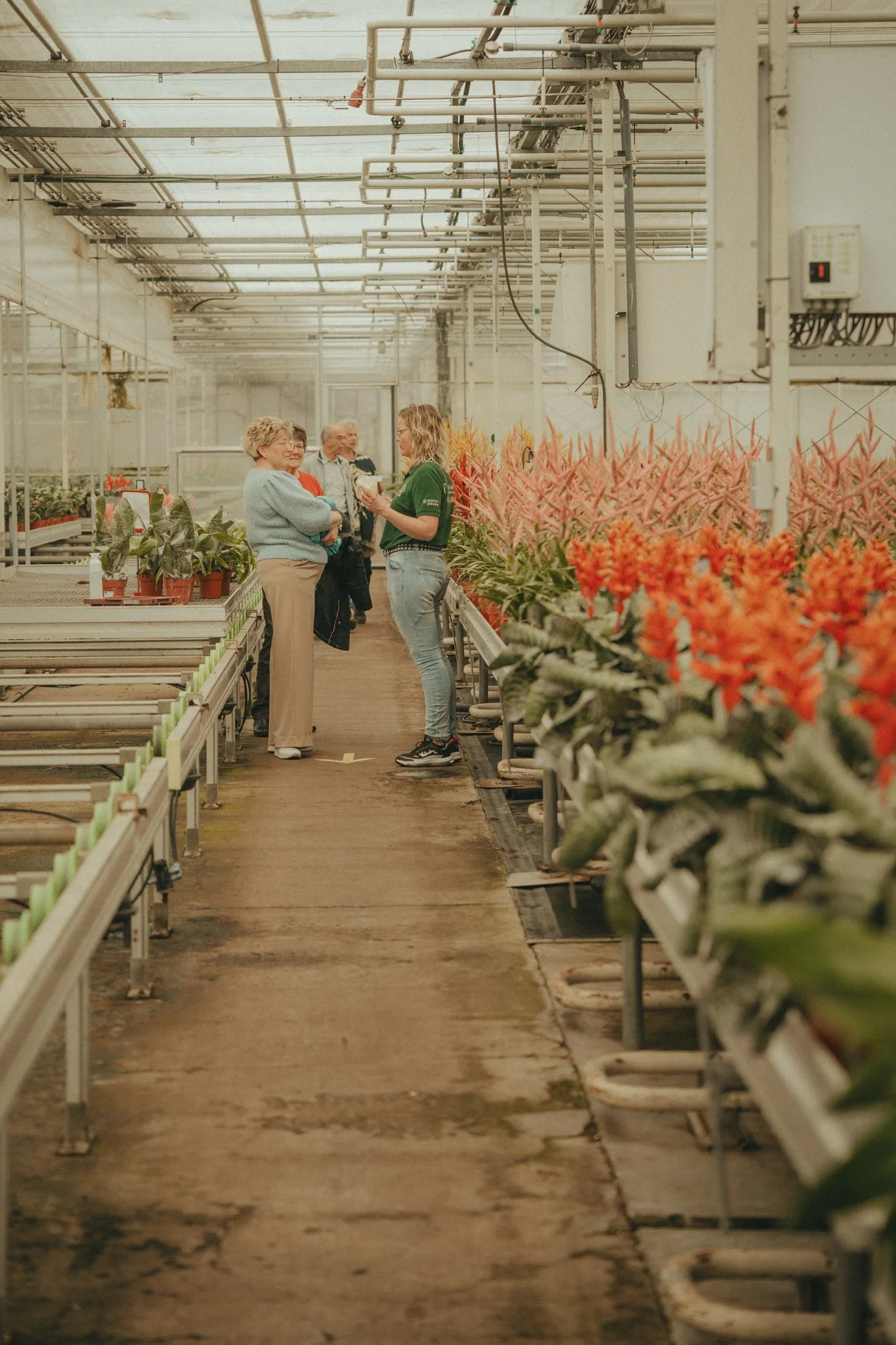 Four women standing in a greenhouse surrounded by potted plants and floral arrangements.