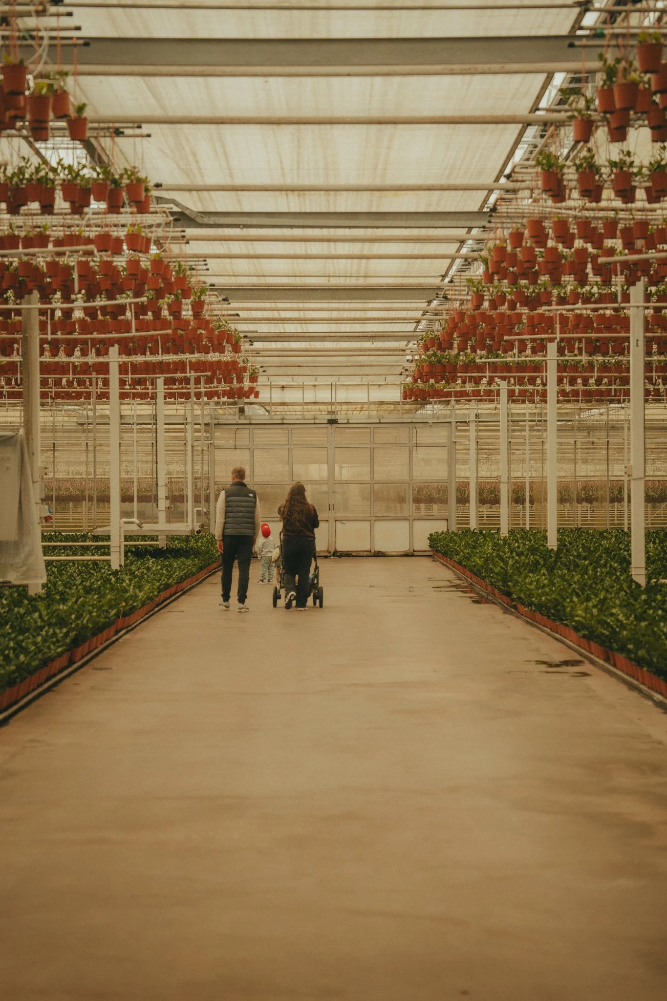 Inside a greenhouse with hanging potted plants on both sides and a few people walking down the center.