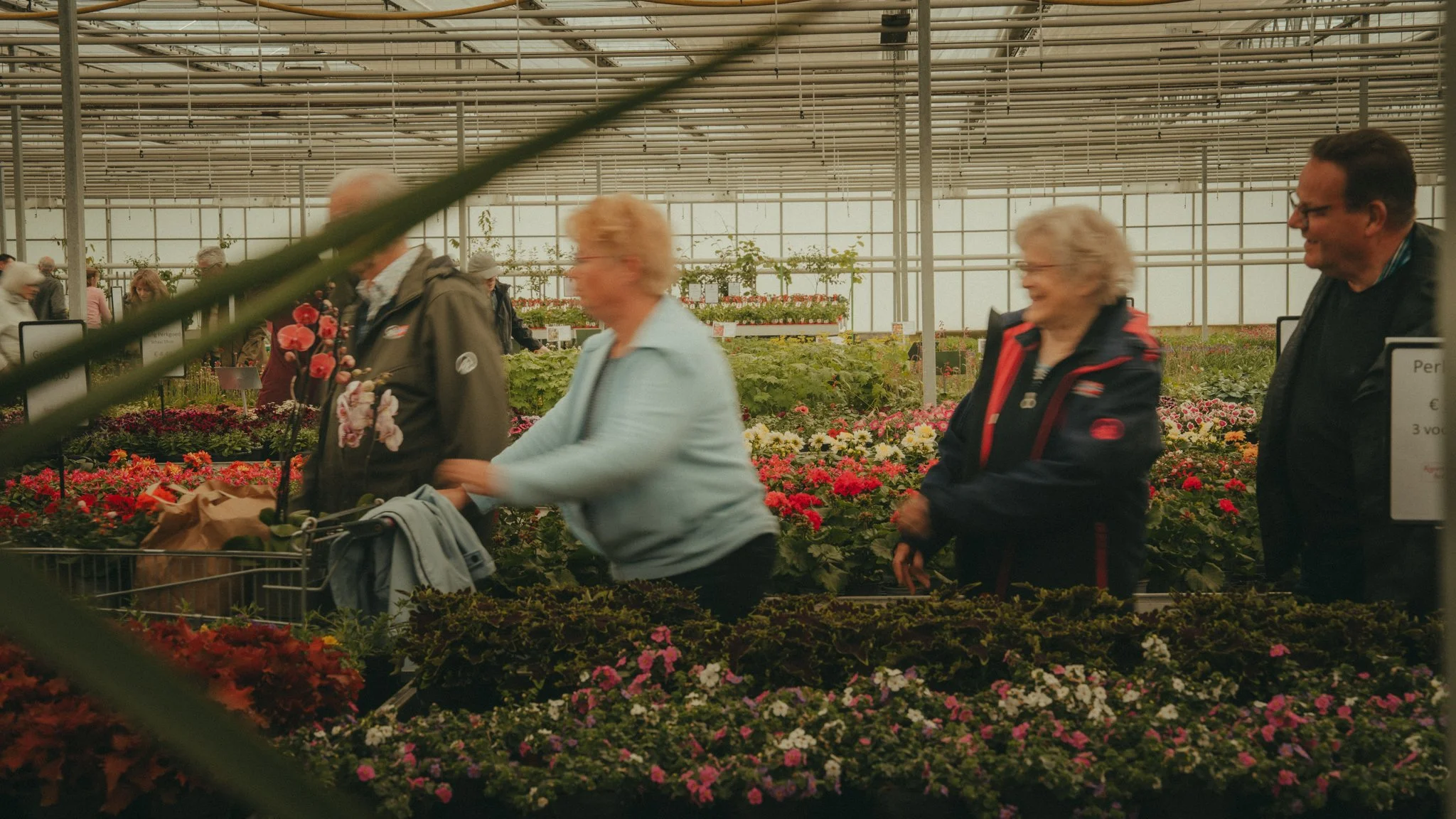 People shopping for flowers inside a greenhouse at a nursery, with colorful flowers arranged in rows.