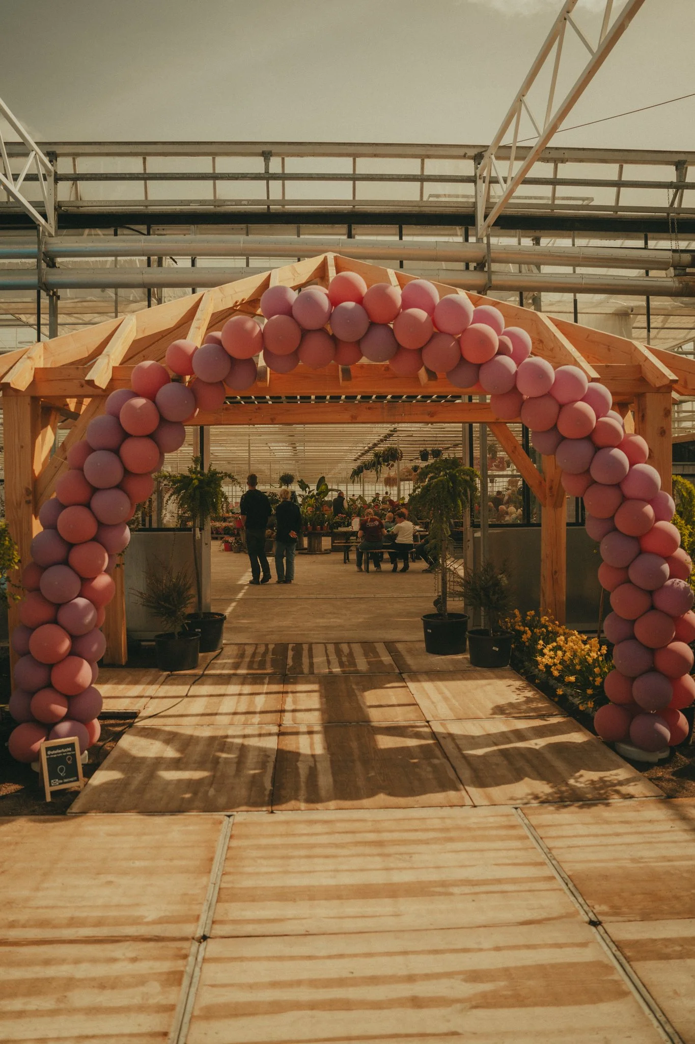 Inside a greenhouse, a wooden arch decorated with pink balloons, with people sitting at tables and plants in pots.