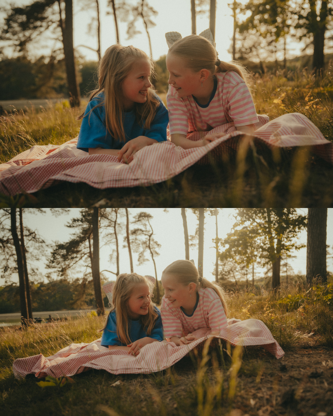 DAISYSFRAME-DFLJ26-C6.png