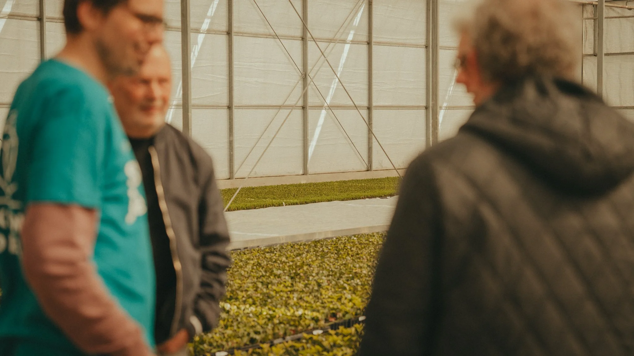 Four people standing and talking inside a greenhouse or indoor plant nursery, with one person in a teal shirt, and others wearing darker clothing.