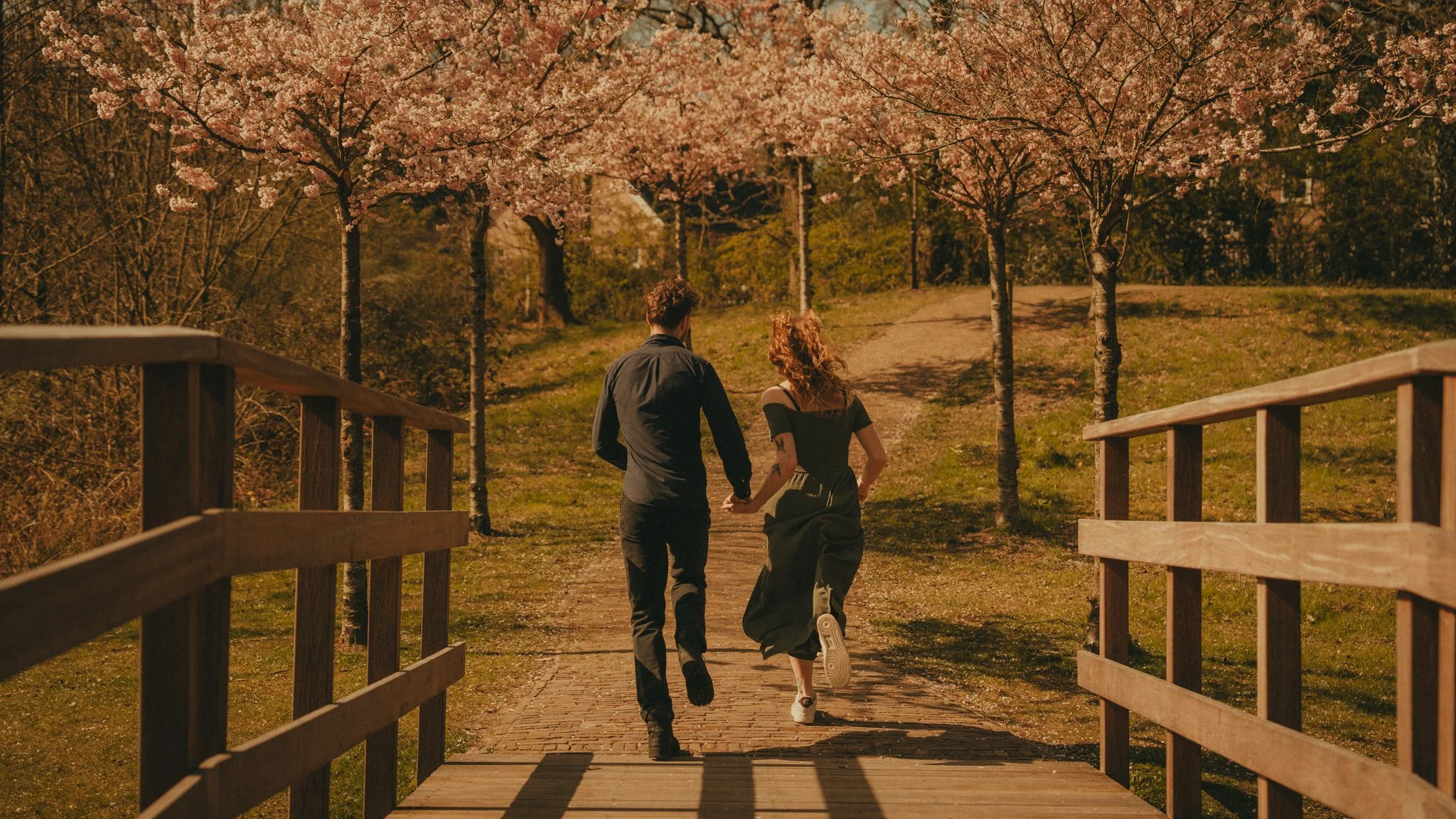 A couple walking hand in hand on a wooden bridge in a park with blooming pink cherry blossom trees.