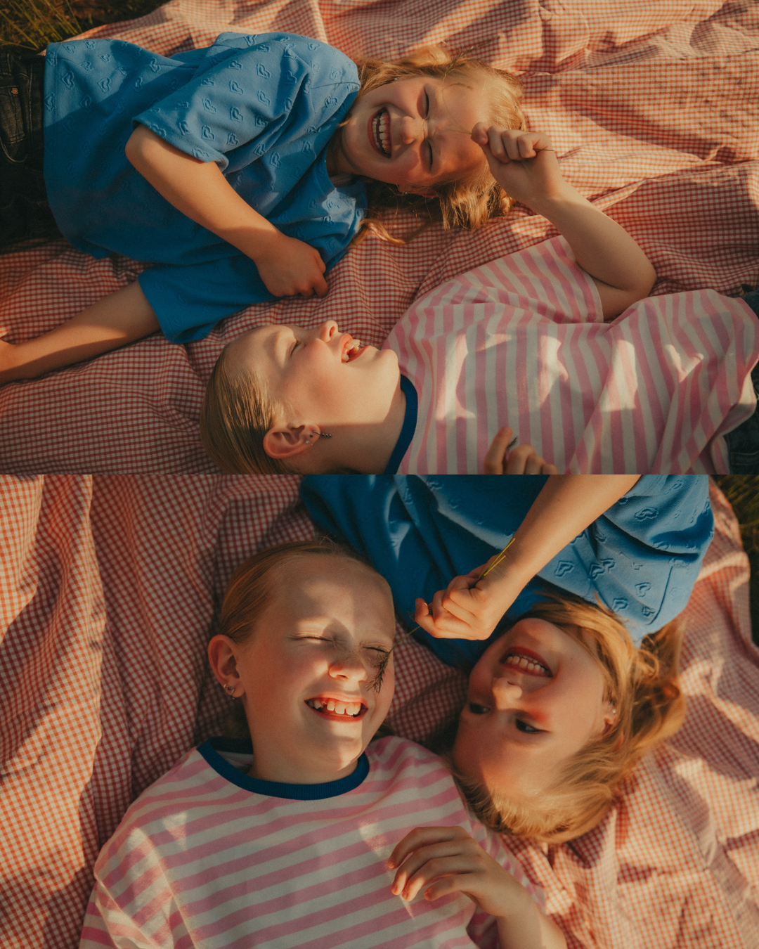 DAISYSFRAME-DFLJ26-C5.png