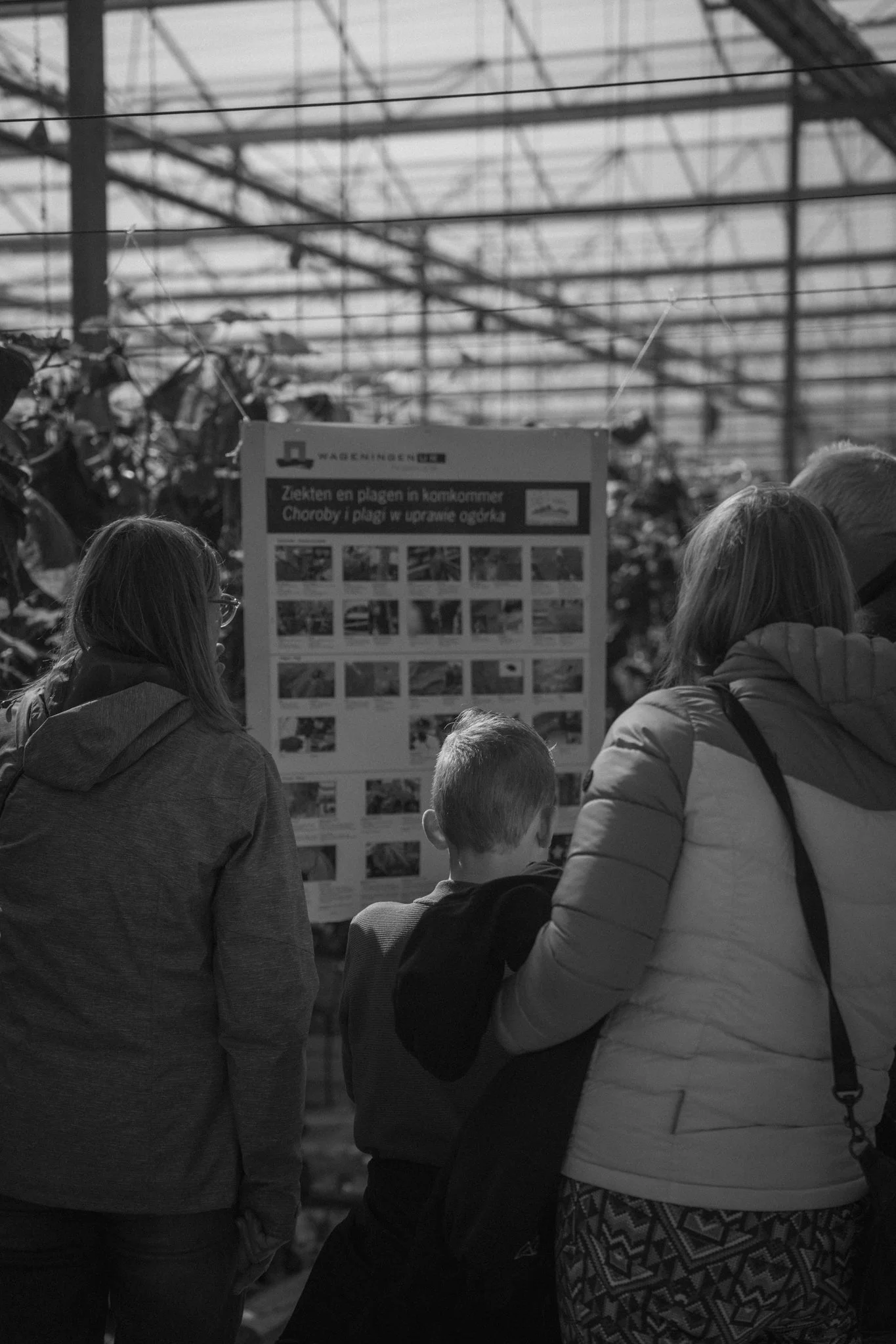 People gather around a display board about diseases and pests in a greenhouse or botanical garden.