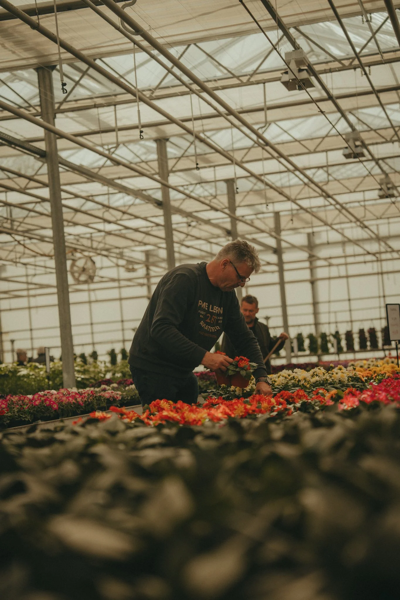 A person arranging flowers in a greenhouse filled with colorful flowers, with other people in the background.