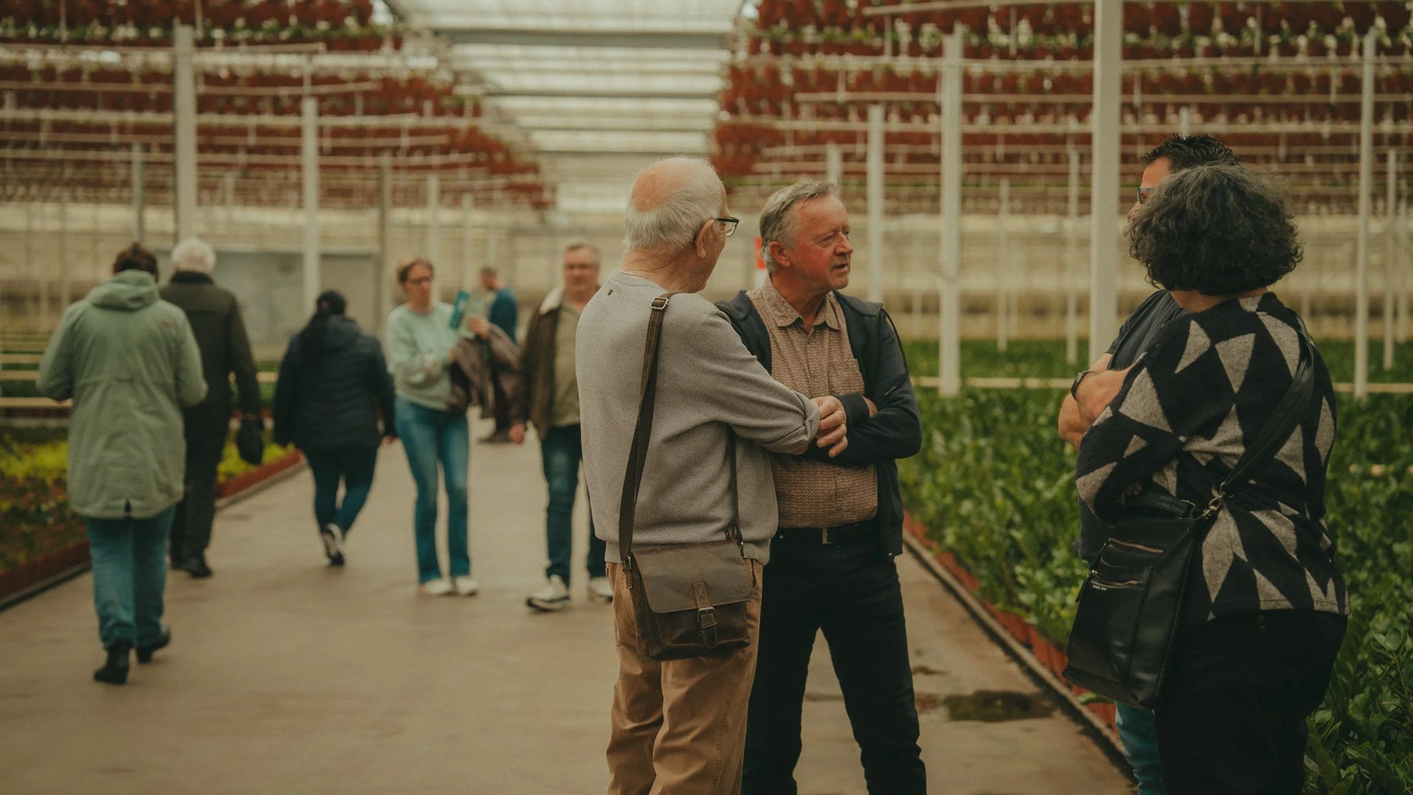 People talking and walking through a greenhouse filled with rows of plants in pots.