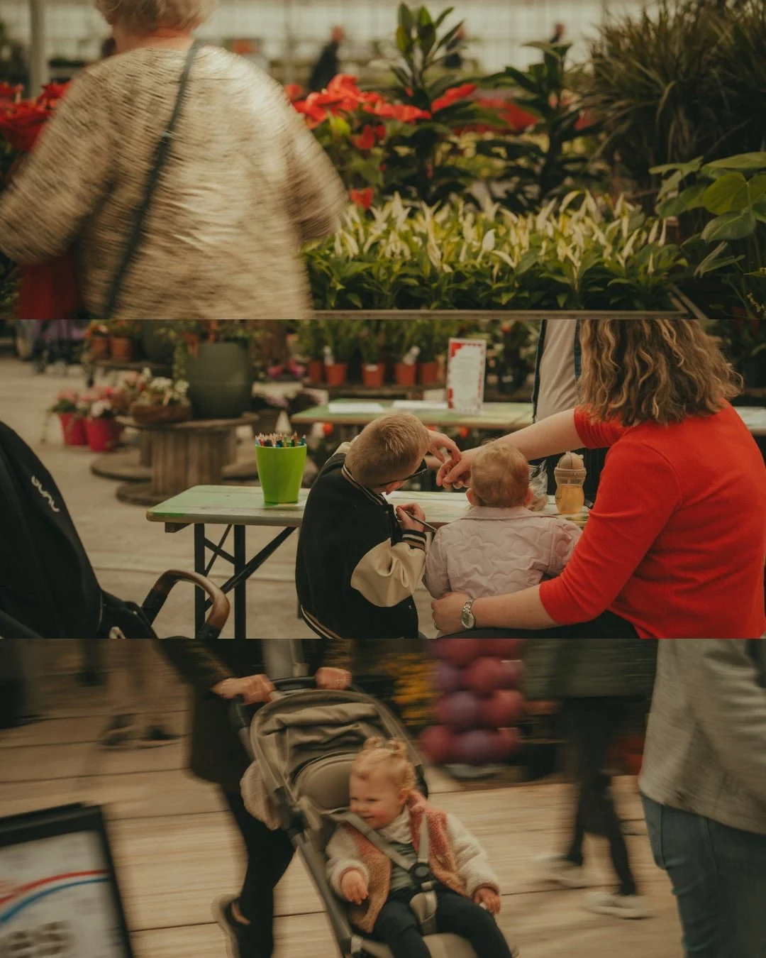 People shopping at a plant nursery, children sitting at a table, and a young child sitting in a stroller in a store.