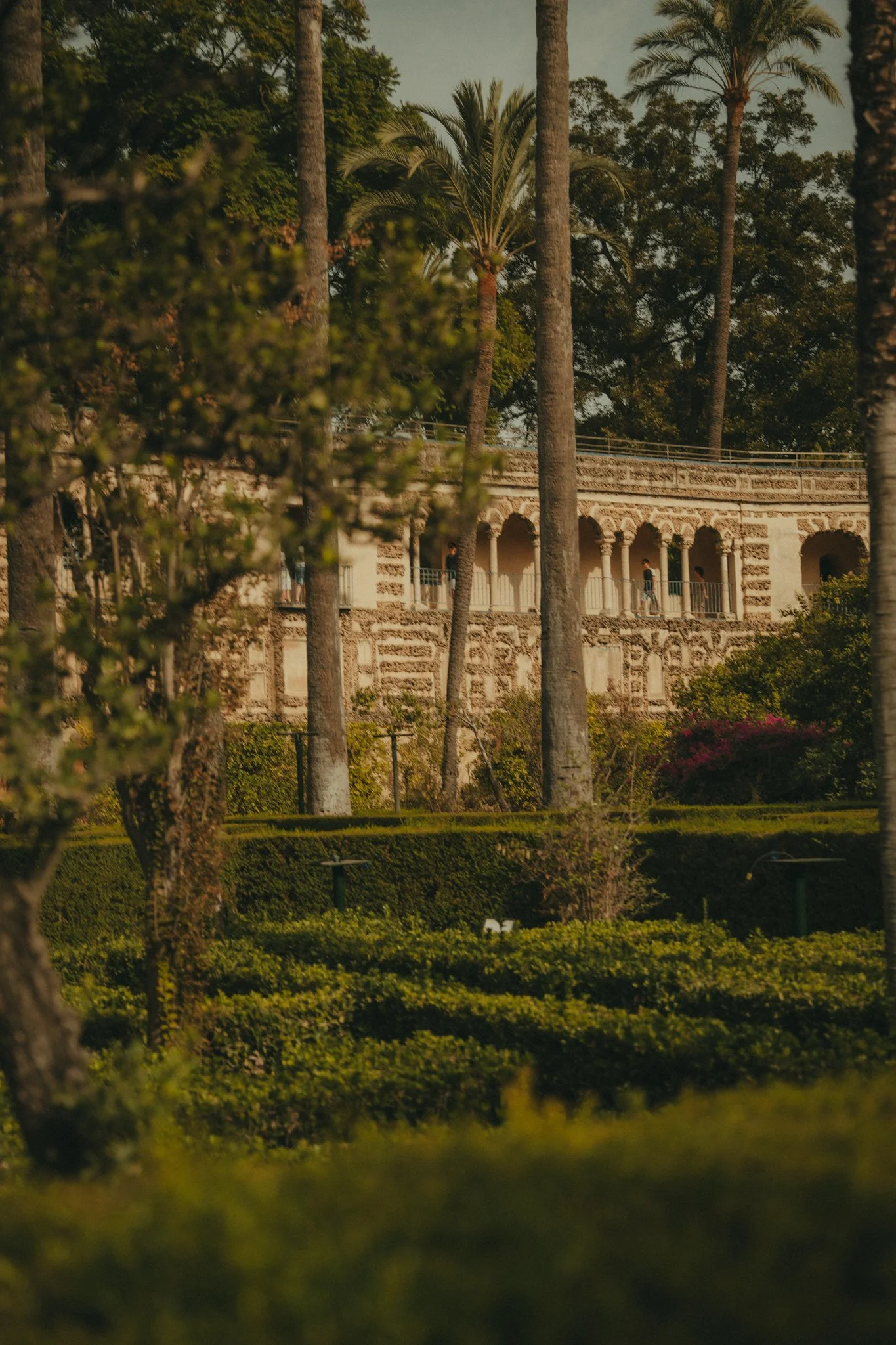 A view through trees showing a historic stone amphitheater with arches and a railing, and people walking along the upper level.