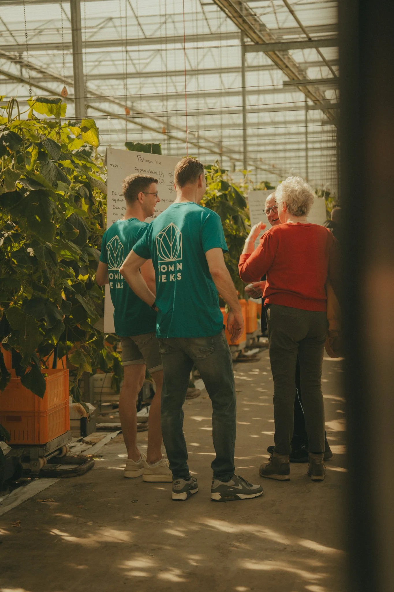 A group of four people, three young men and one older woman, are standing and talking inside a greenhouse with large green plants and pots around them. They are engaged in a conversation, with sunlight streaming through the transparent roof.