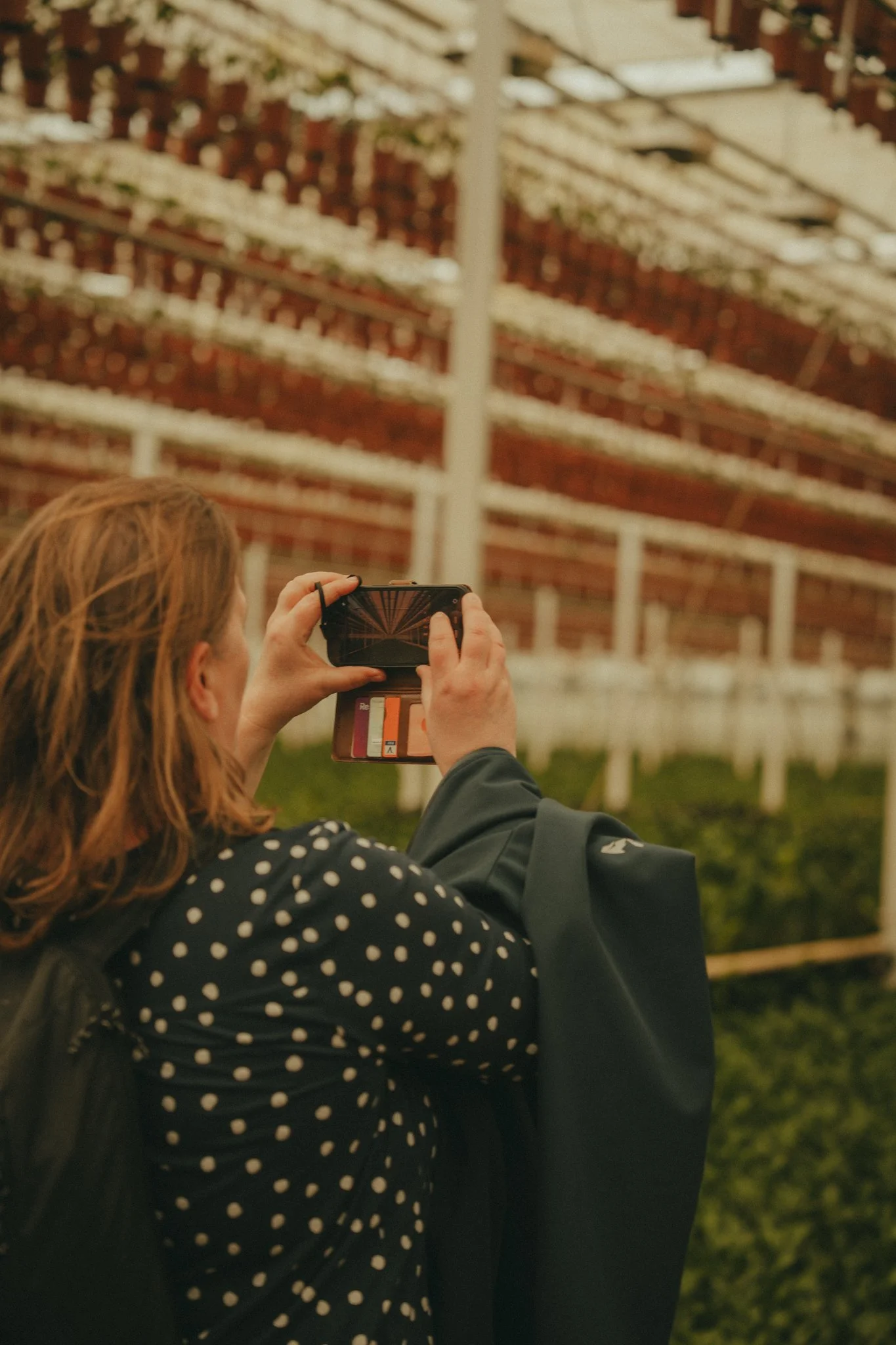 A woman with reddish-brown hair, wearing a black jacket and a black dress with white polka dots, is taking a photo with her smartphone at an agricultural or greenhouse structure with rows of plants growing indoors.