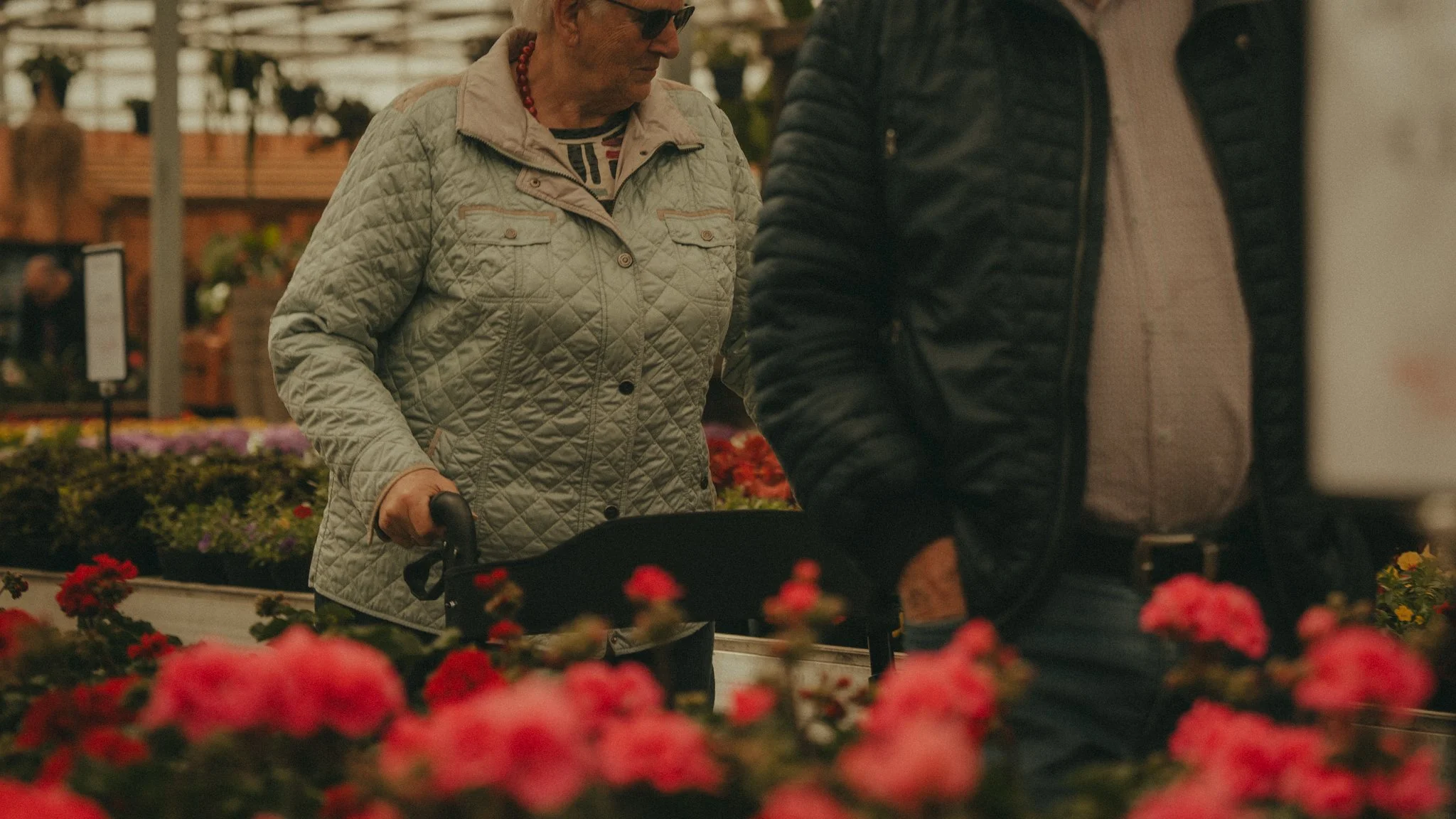 Two people shopping for flowers in a greenhouse or garden center, surrounded by colorful blooms. One person is wearing a beige quilted jacket and sunglasses, holding a shopping cart, while the other is wearing a black jacket with a beige shirt undern