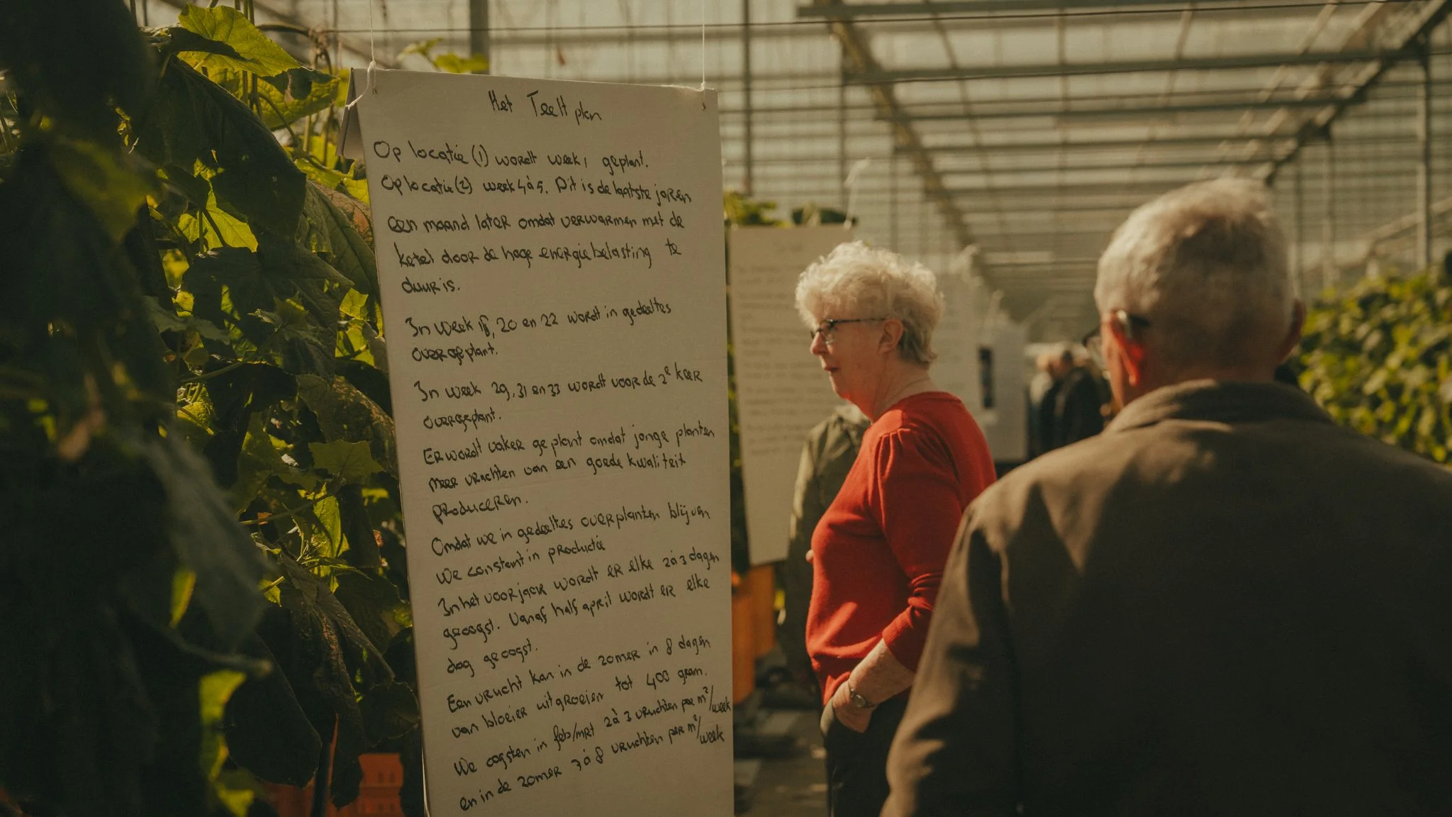 An indoor greenhouse with an elderly woman and a man standing and looking at a handwritten sign in Dutch about tomato plants, surrounded by leafy green plants and a metal roof structure.