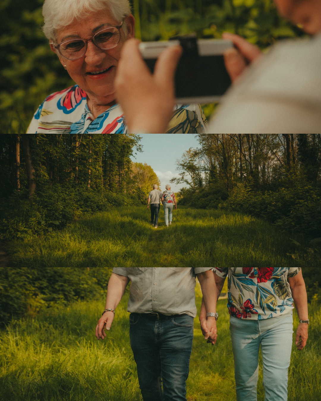 DAISYSFRAME-DF26GG-C6.png