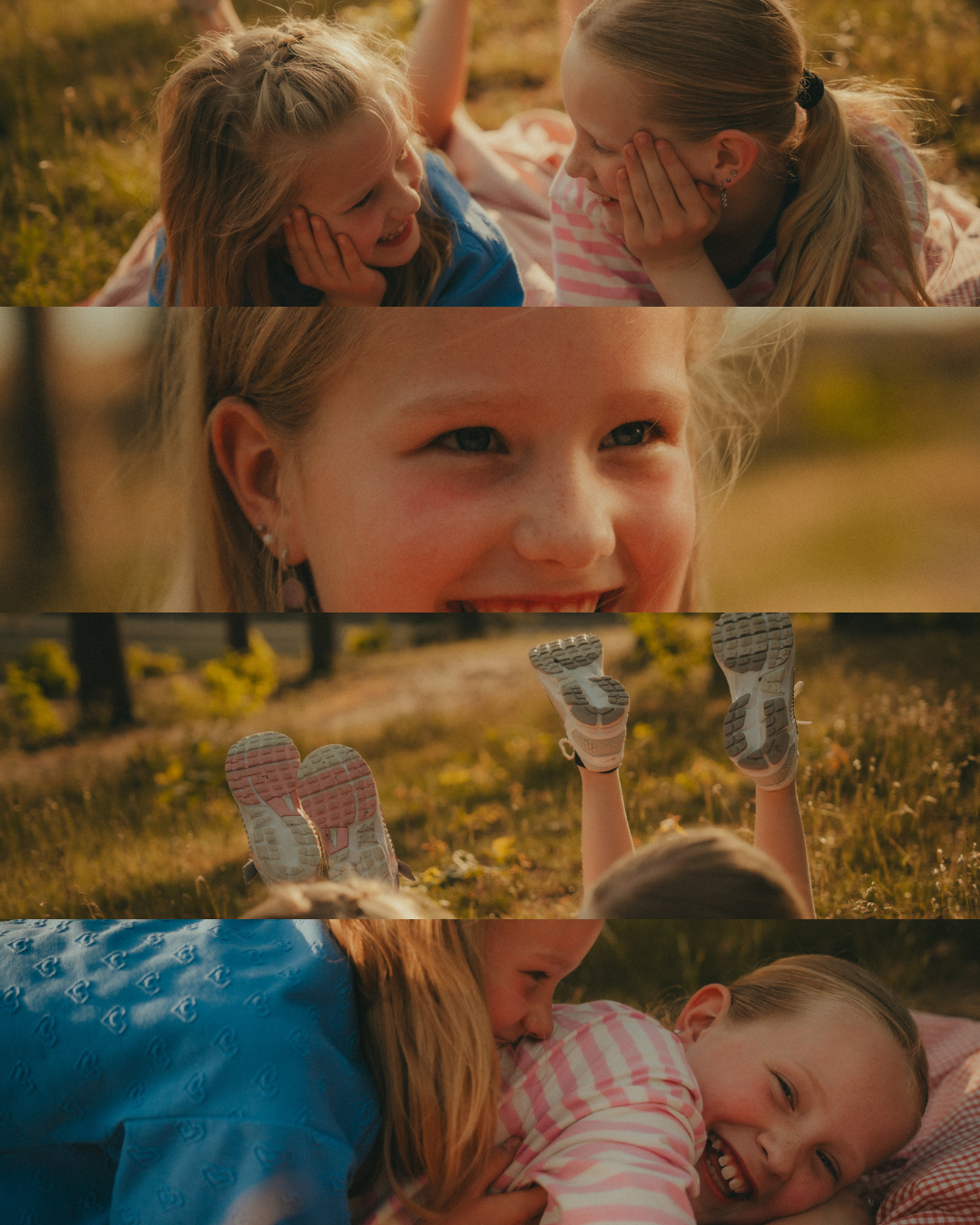 DAISYSFRAME-DFLJ26-C7.png