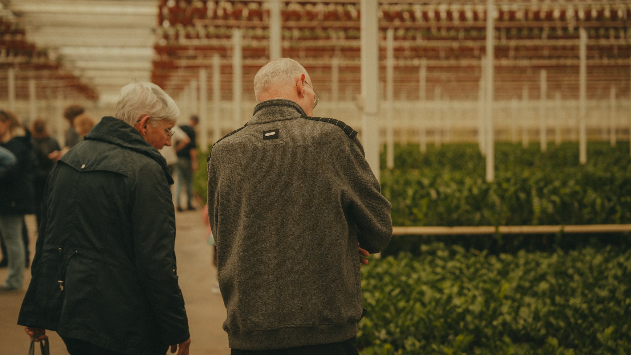 Two elderly people, one man and one woman, are standing side by side in a greenhouse or plant nursery, looking at the plants. The woman has short gray hair and glasses, and is wearing a black jacket. The man has short gray hair and is wearing glasses