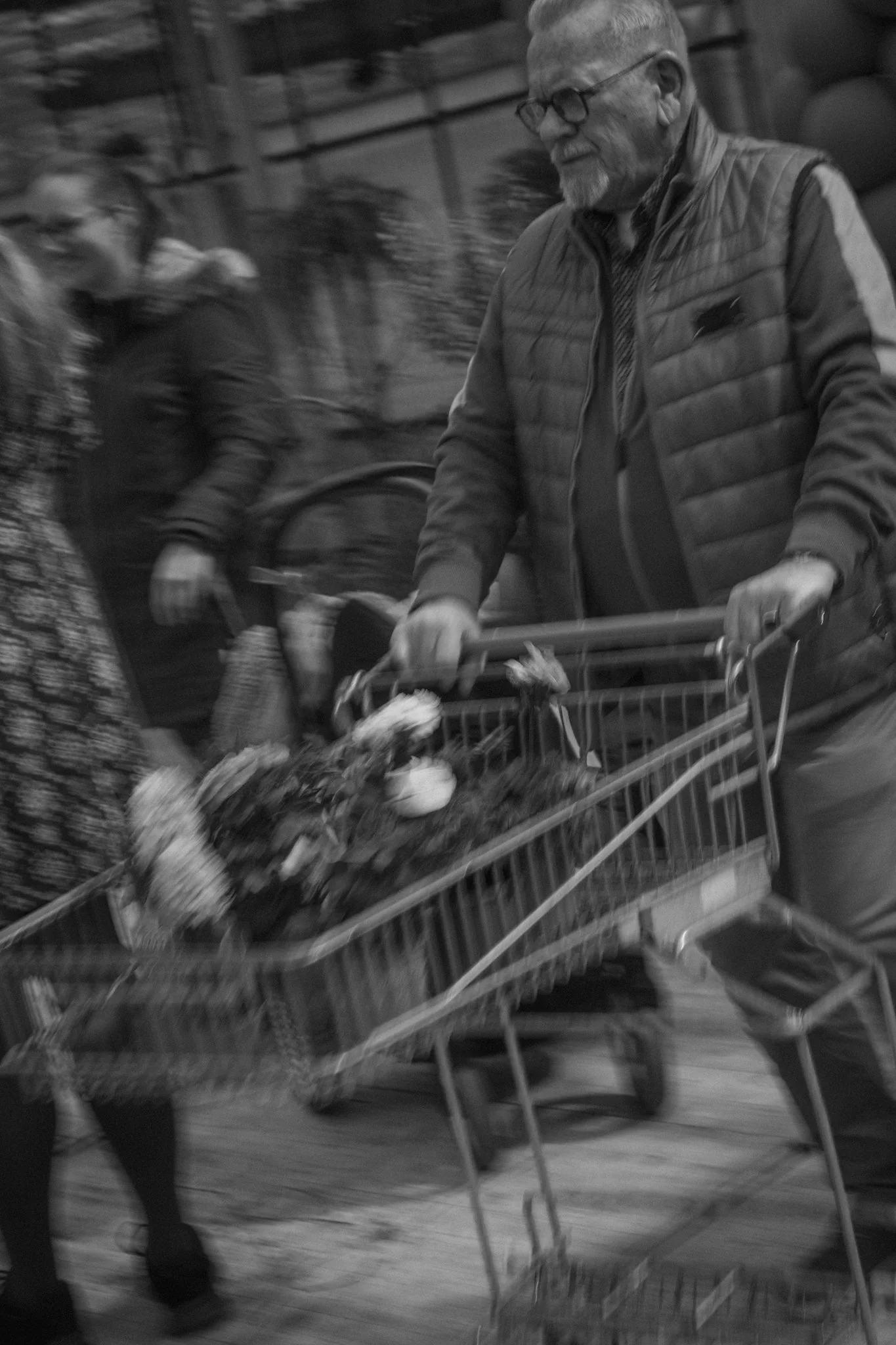 A black and white photo of an elderly man with glasses and a beard, wearing a quilted vest, pushing a shopping cart filled with vegetables in a grocery store. Blurred background includes another person and store shelves.