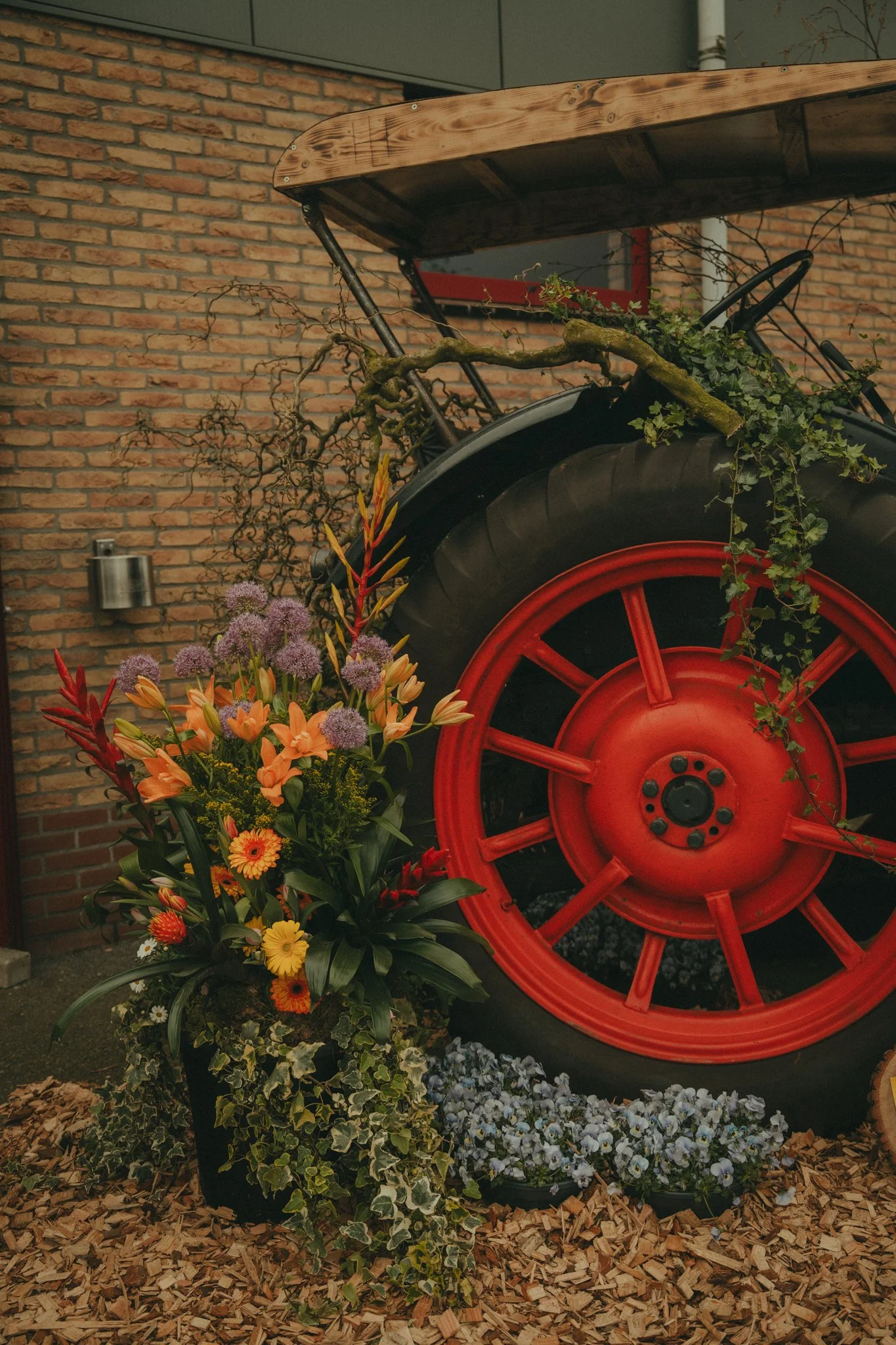 A vintage red tractor with a large rear wheel is decorated with colorful flowers and green foliage, positioned in front of a brick wall.