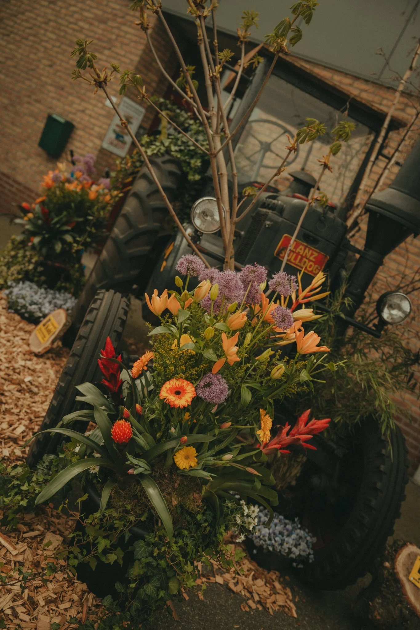 Colorful flower arrangements near a tractor with a brick wall in the background.
