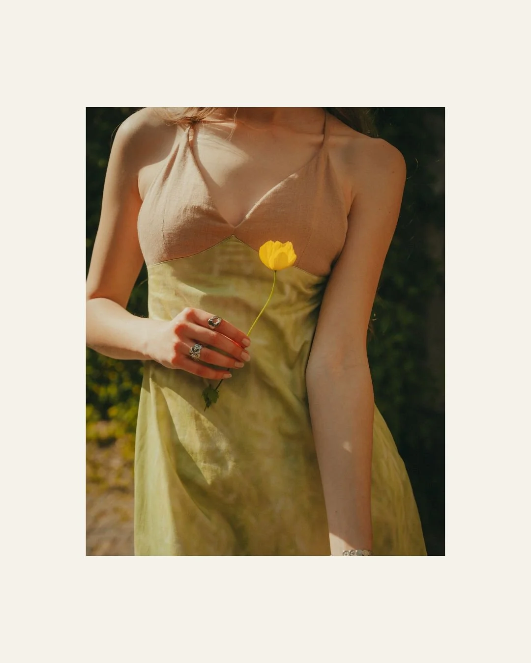 DAISYSFRAME-DF26UB-C18.jpg