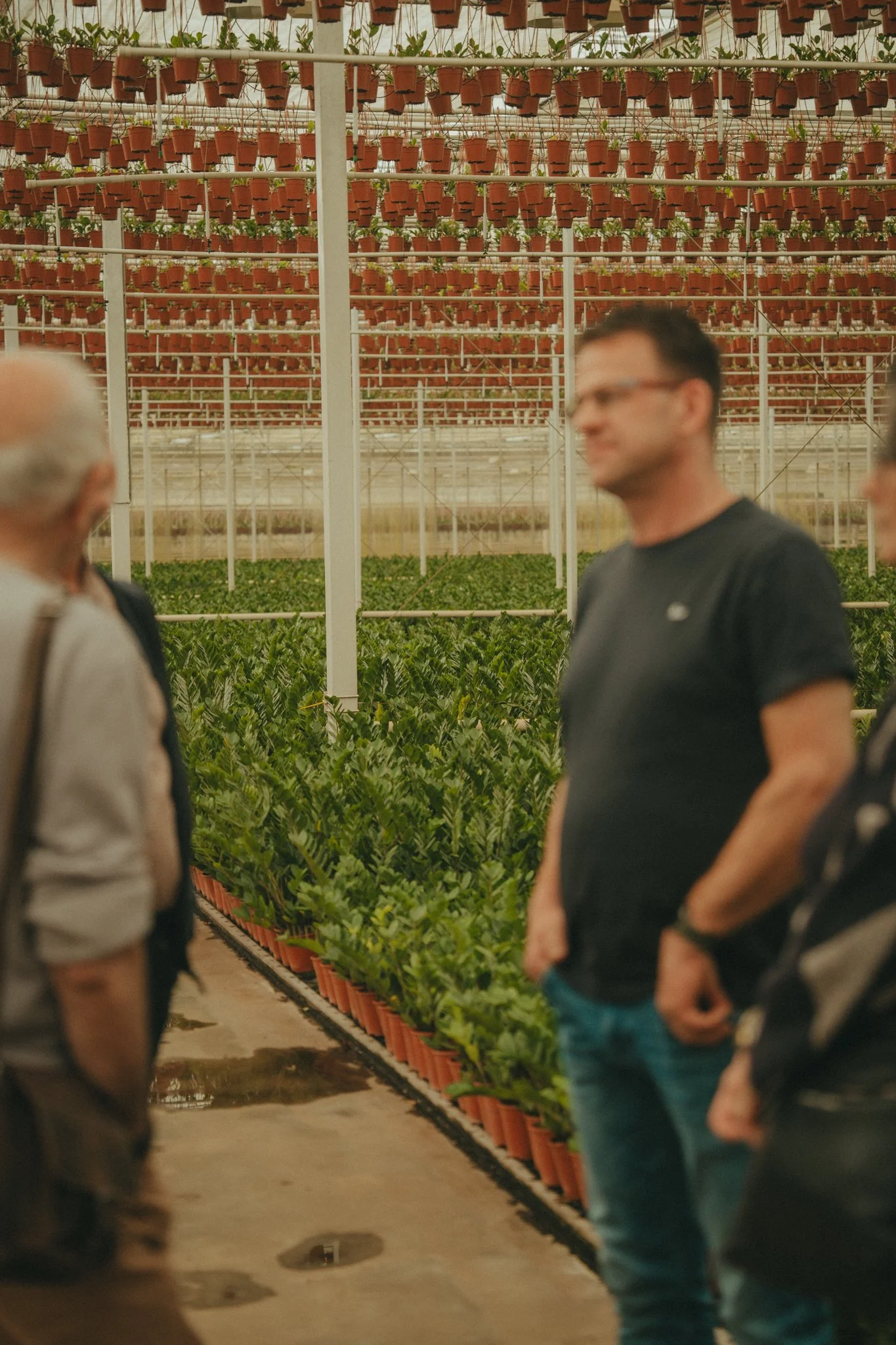 Inside a greenhouse with rows of potted plants hanging from the ceiling and more plants on shelves, with three people observing the plants.