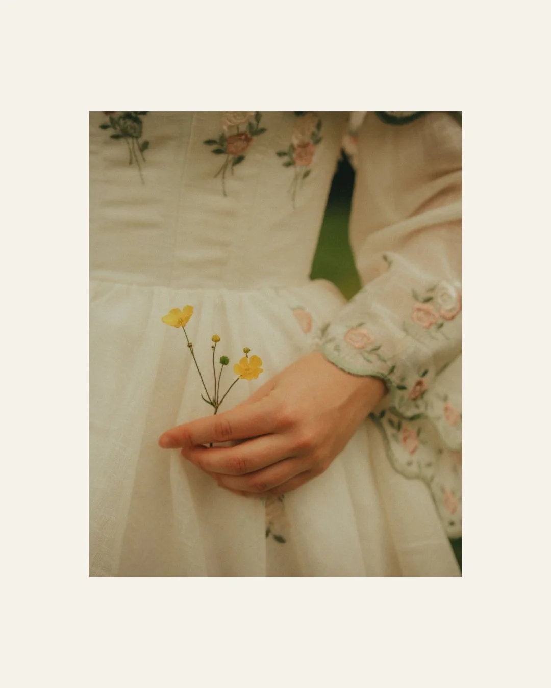 DAISYSFRAME-DFRS26-C9.jpg