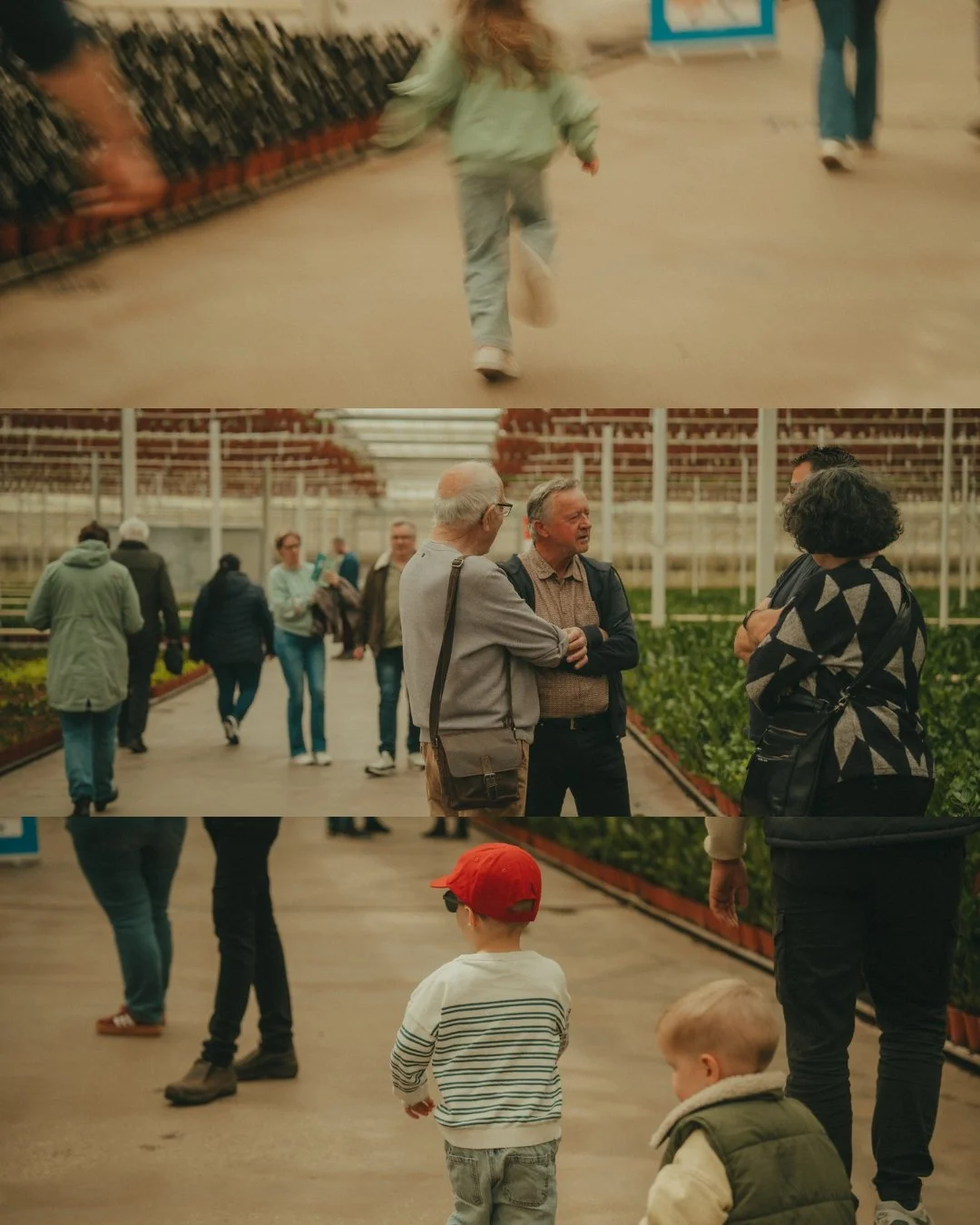 People visiting a greenhouse with children walking and adults talking among rows of plants.