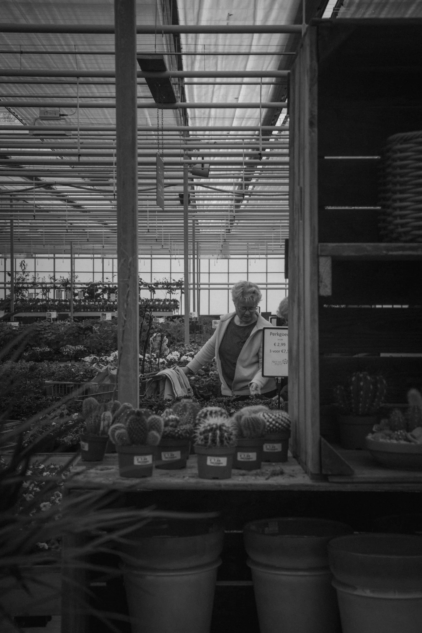 A person shopping in a greenhouse or garden center, with potted plants and flowers on display, and a sign for a product called Perkgoed.