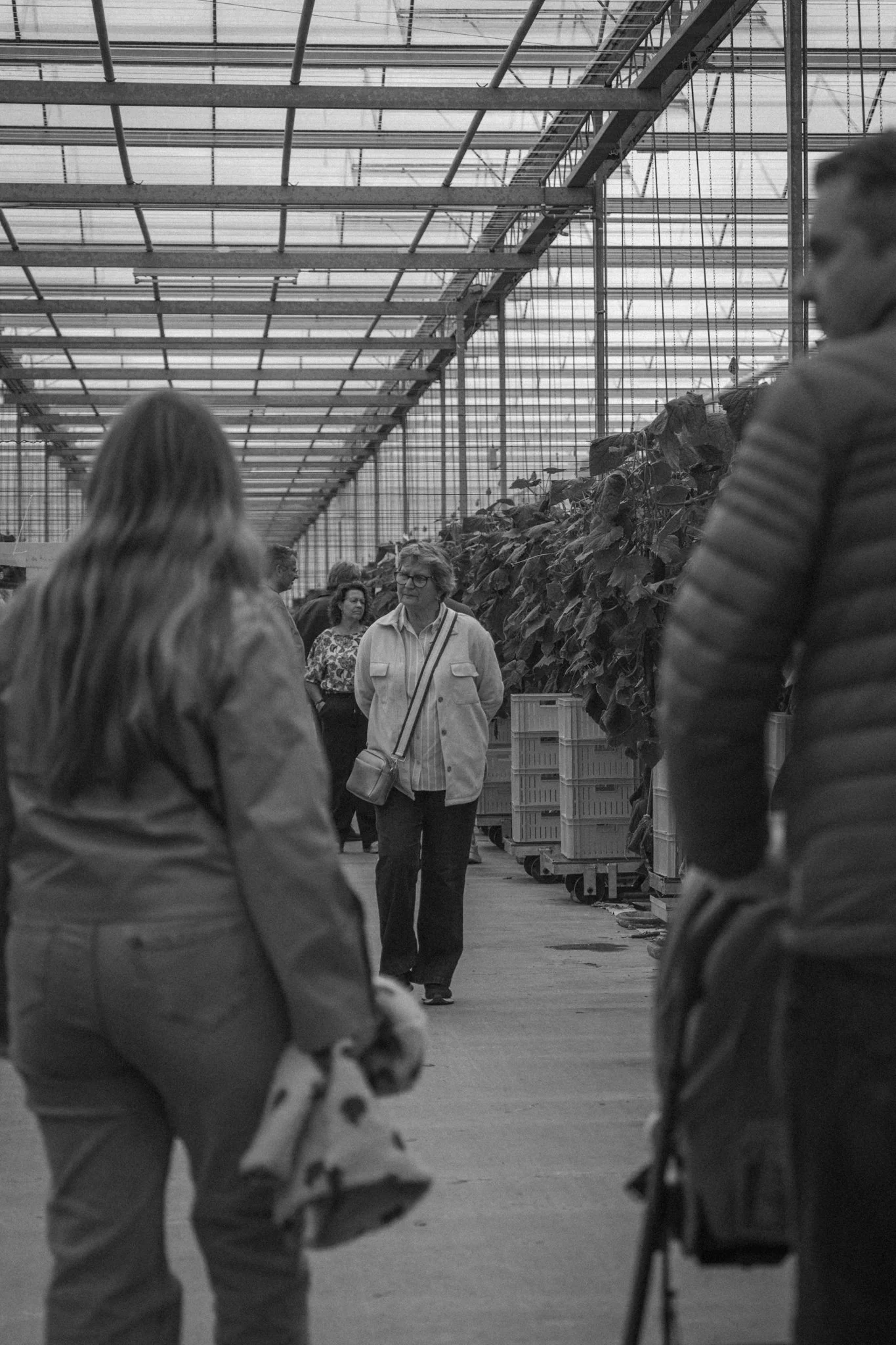 People shopping inside a greenhouse or garden center with large plants and trees on display.