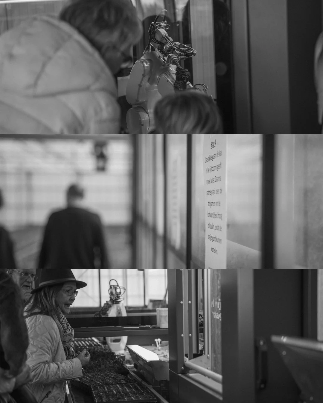 Black and white collage of three photos: top shows a person working with robotic machinery, middle shows a blurred person walking by a wall with a notice, bottom features a woman in a hat interacting with plants or seedlings at a table in a well-lit 